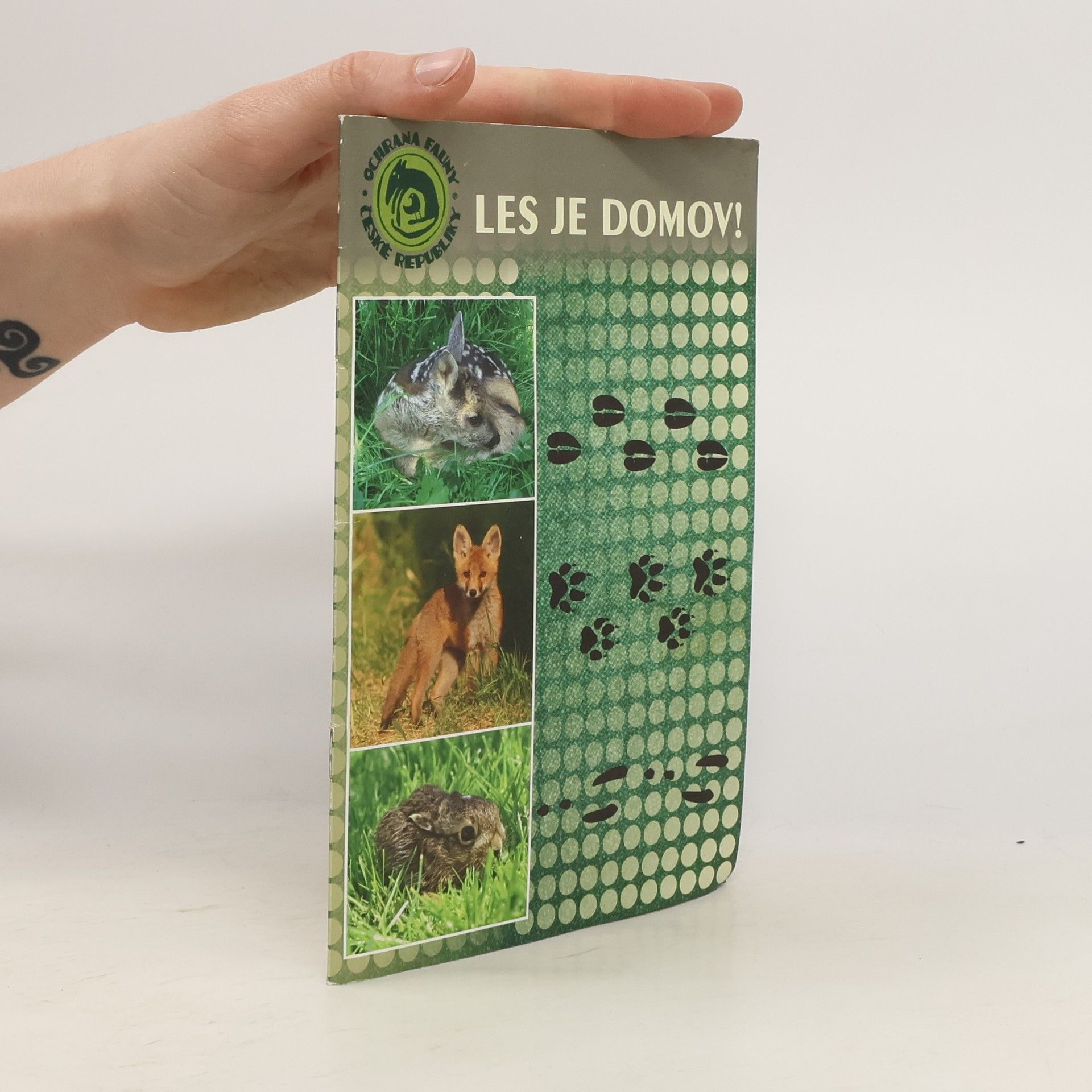 Barbora Vykysalová Les je domov!