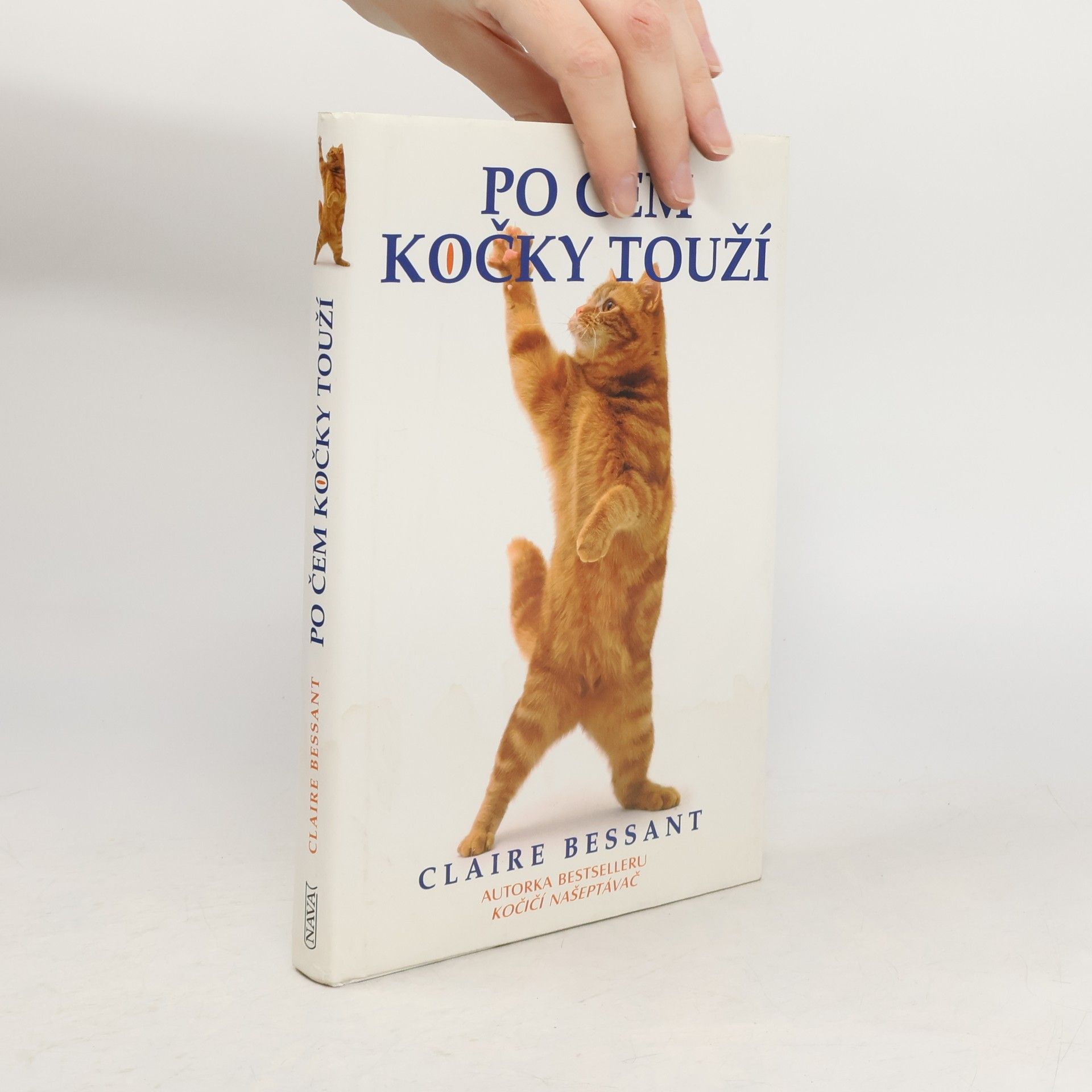 Claire Bessant Po čem kočky touží