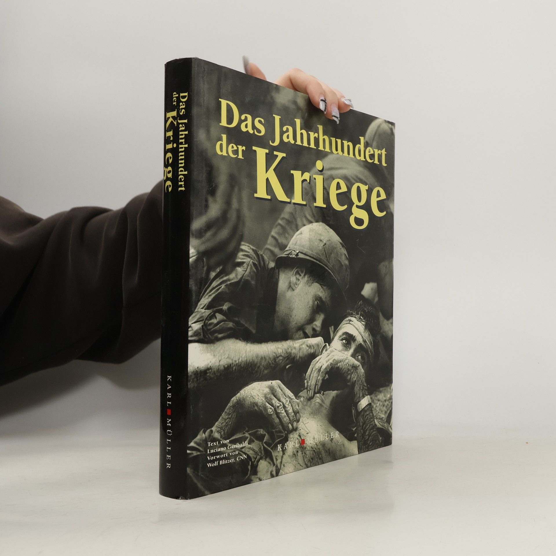 Valeria Manferto Das Jahrhundert der Kriege