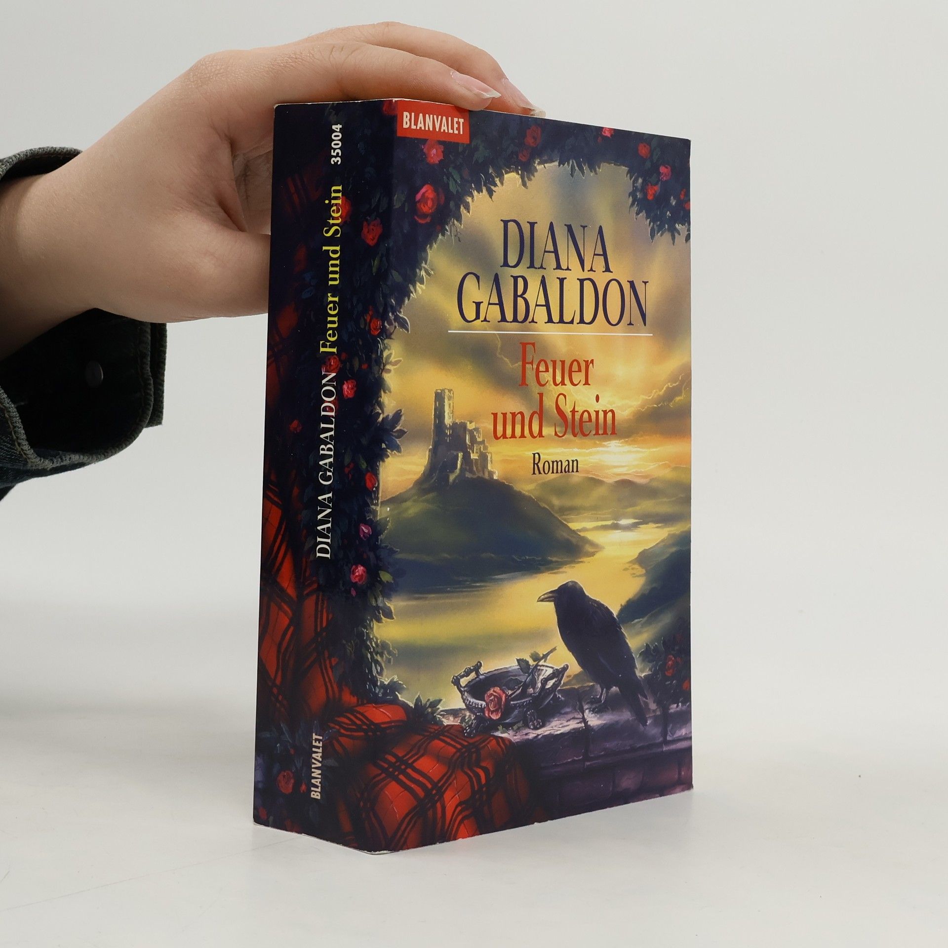 Diana Gabaldon Feuer und Stein