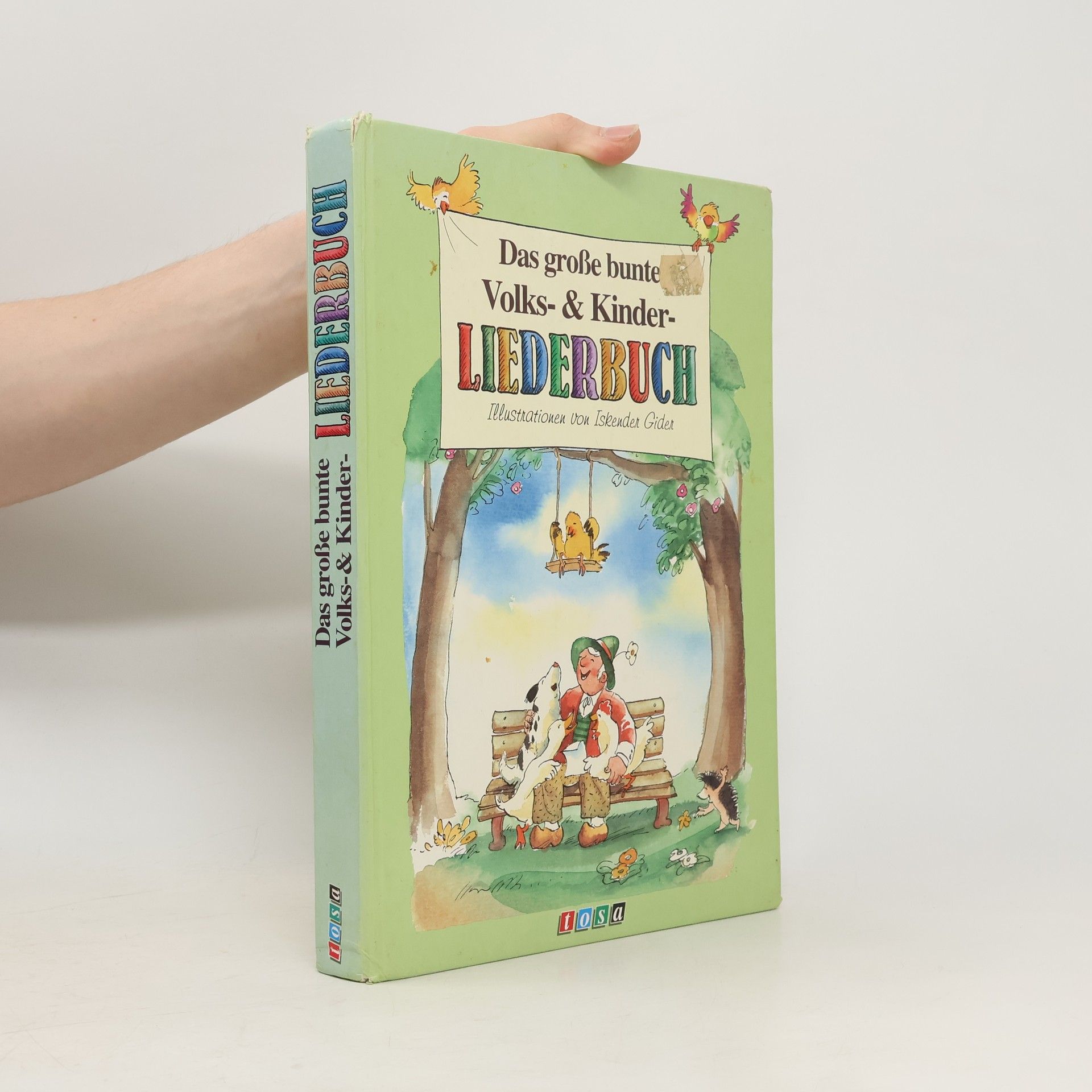 Das grosse bunte Volks-&-Kinder-Liederbuch