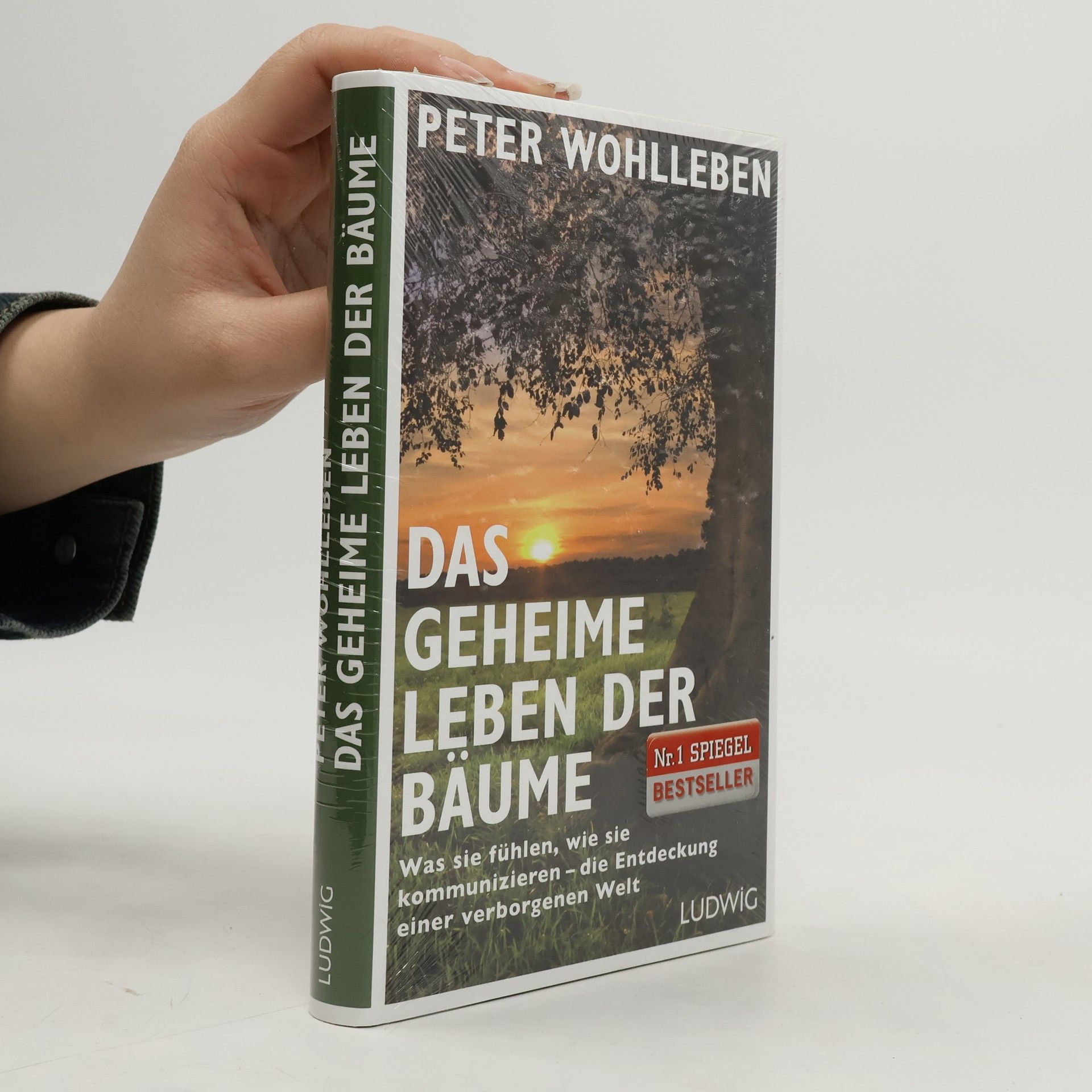 Peter Wohlleben Das geheime Leben der Bäume