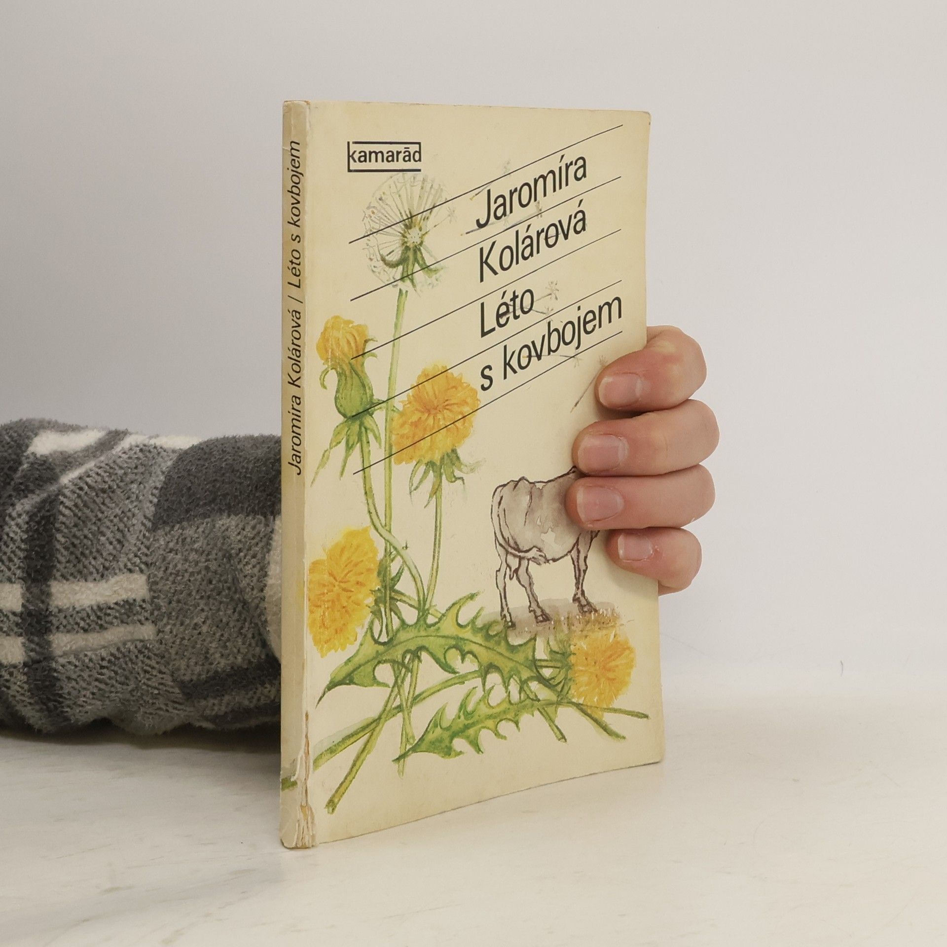 Jaromíra Kolárová Léto s kovbojem