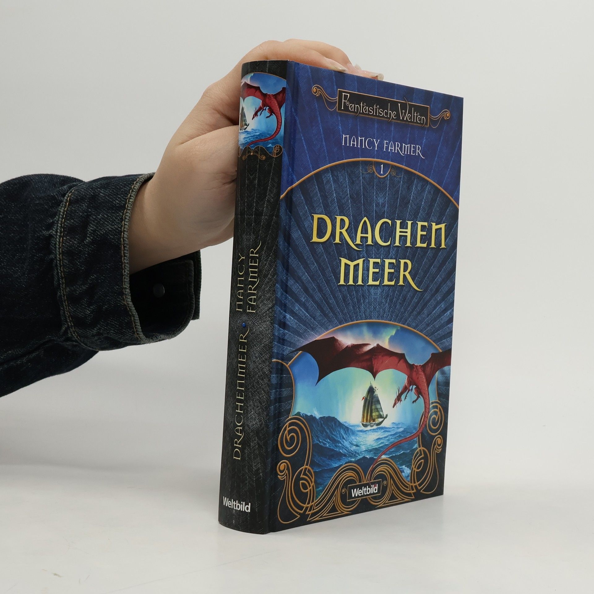 Nancy Farmer Drachen Meer 1