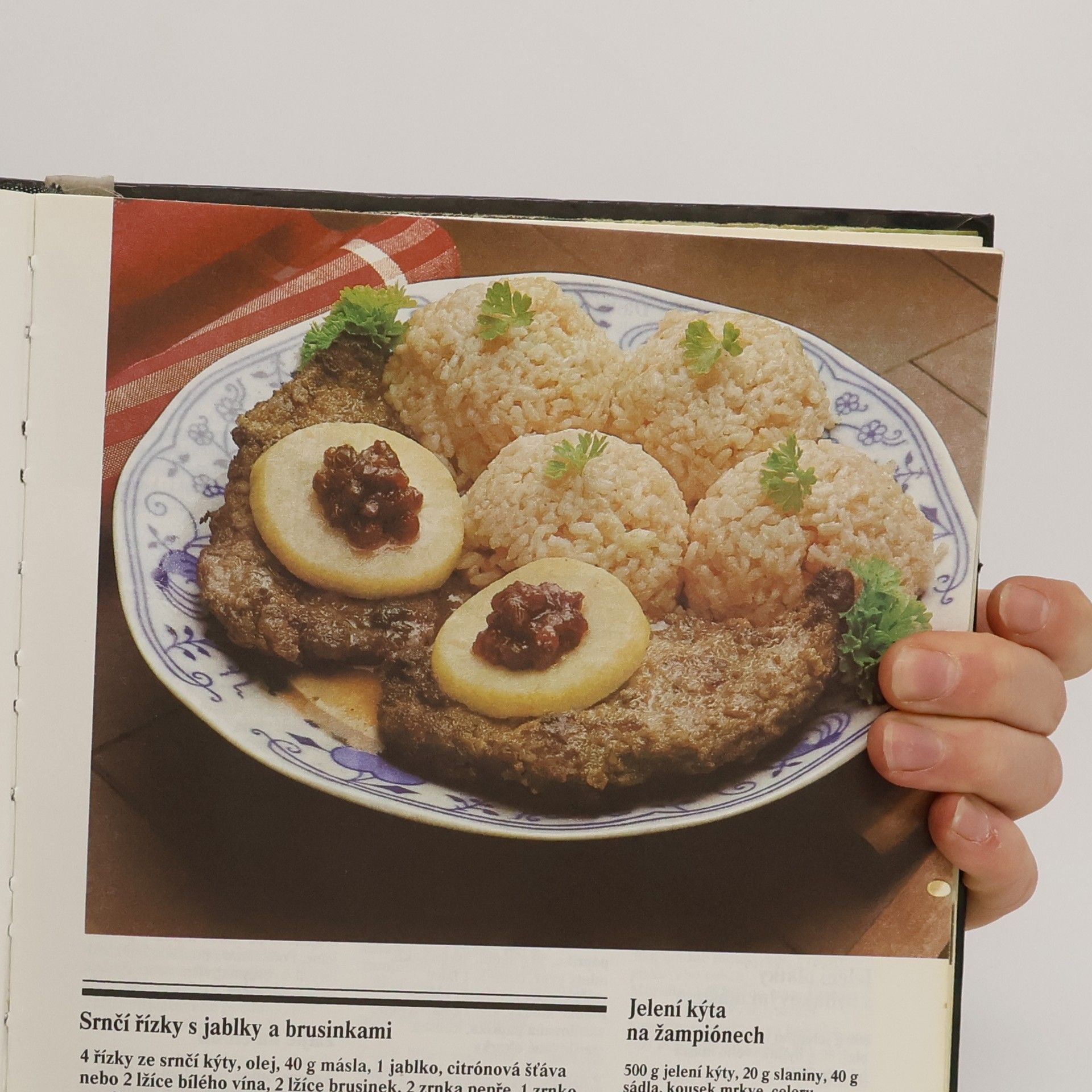 Libuše Vlachová Praktická kuchařka
