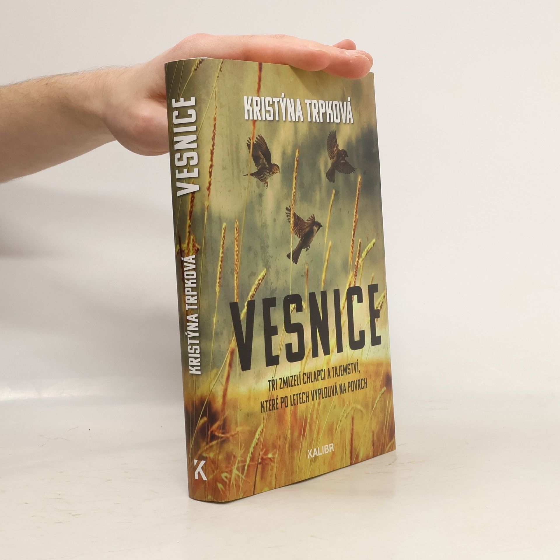 Kristýna Trpková Vesnice