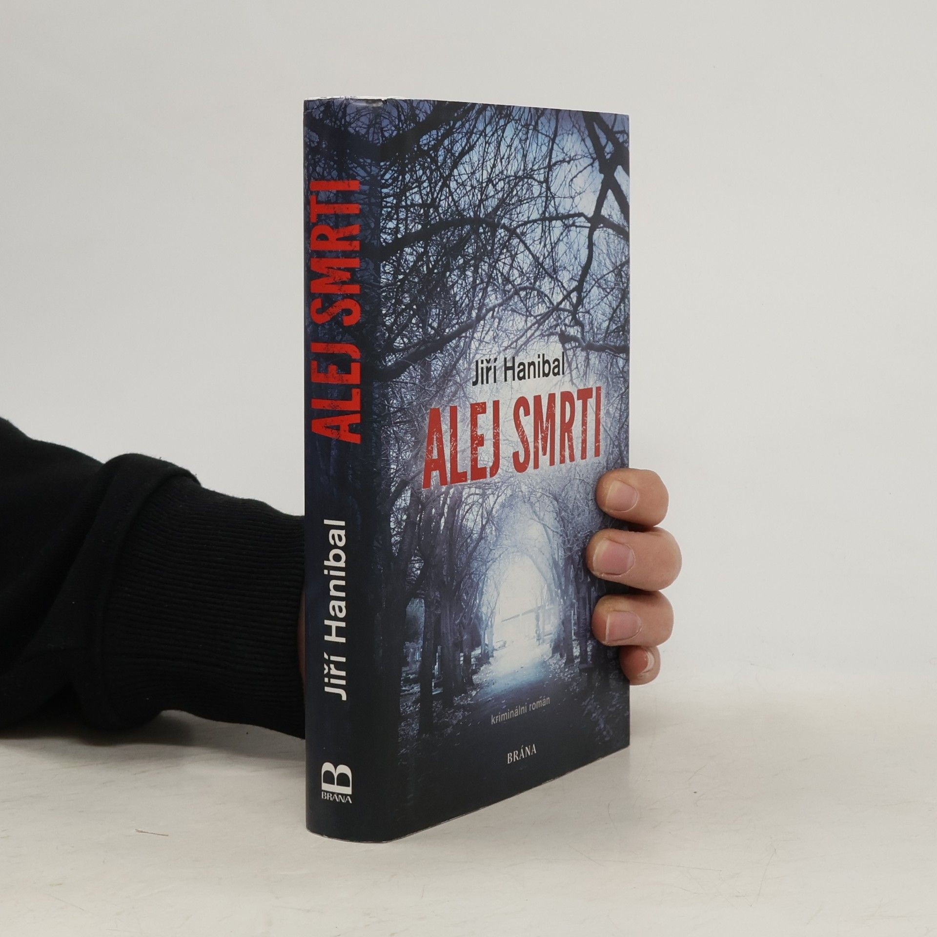 Jirí Hanibal Alej smrti