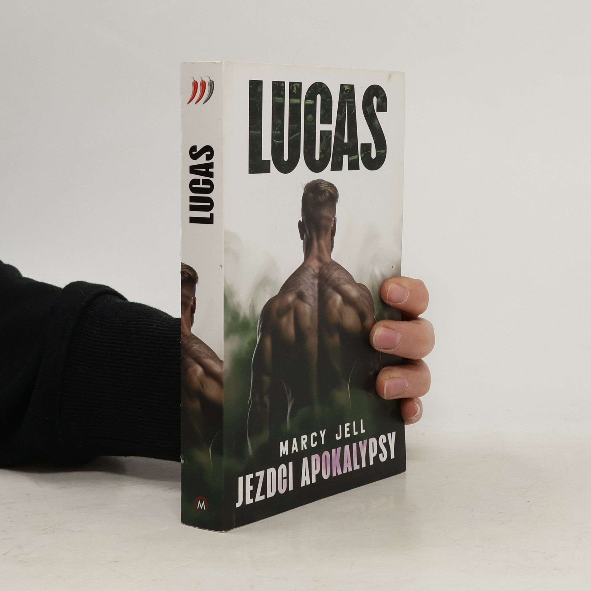 Marcy Jell Jezdci apokalypsy. Kniha druhá, Lucas