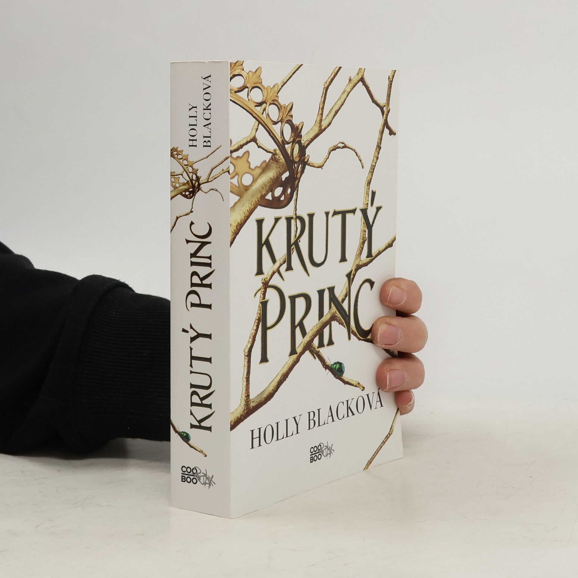 Holly Black Krutý princ