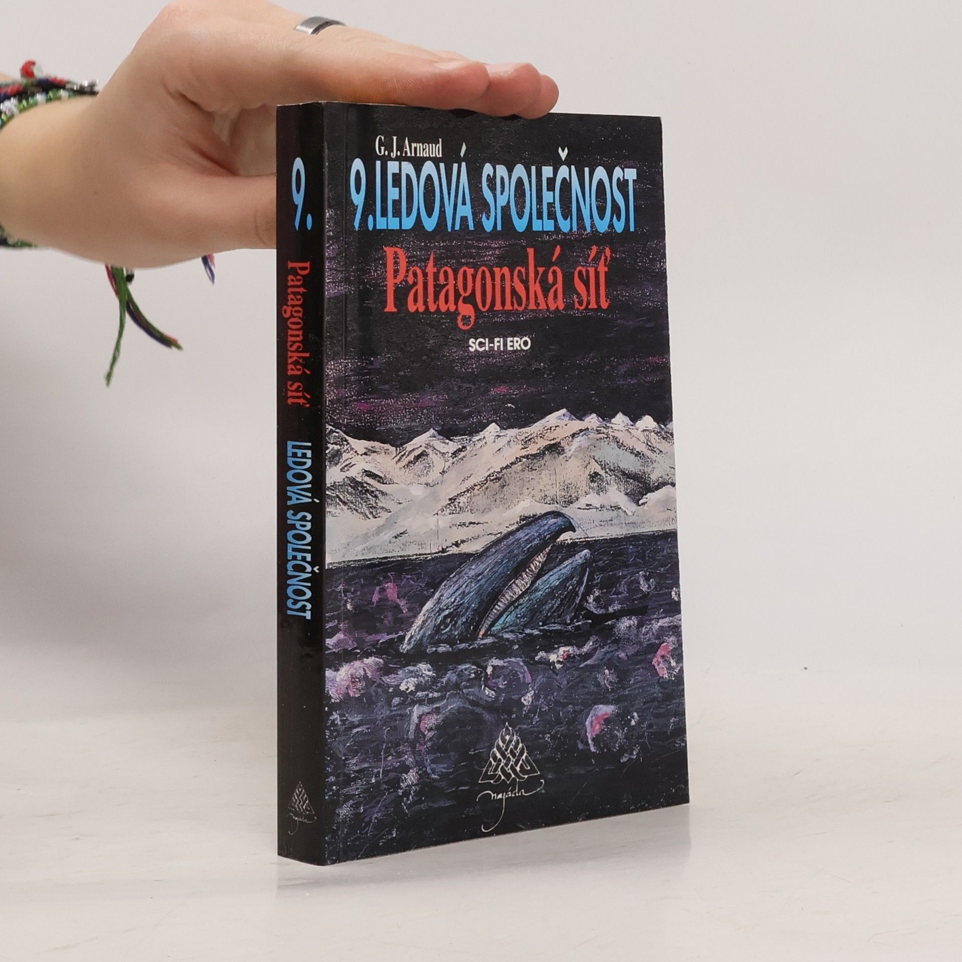 Ledová společnost. 9, Patagonská síť