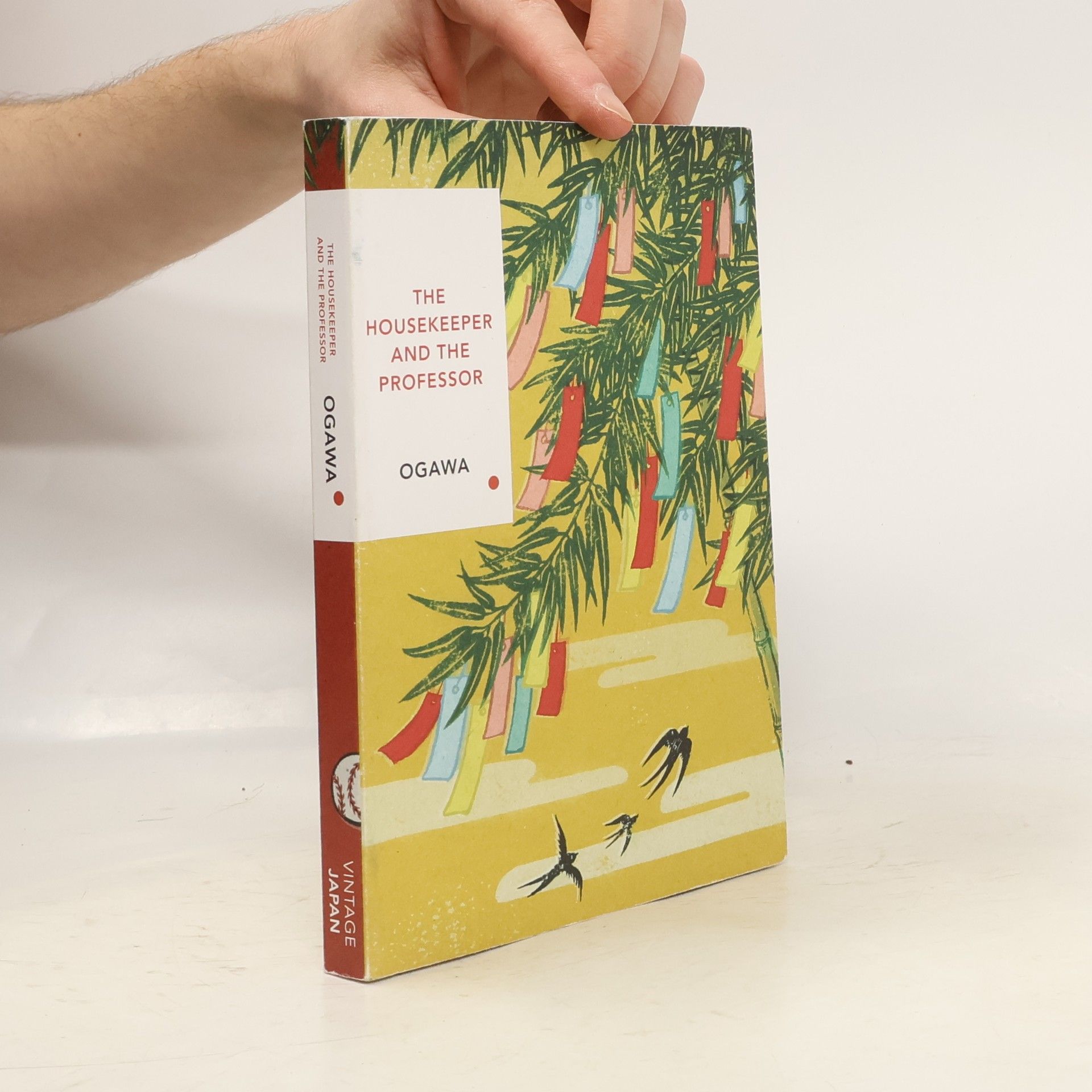 Yoko Ogawa The Housekeeper and the Professor