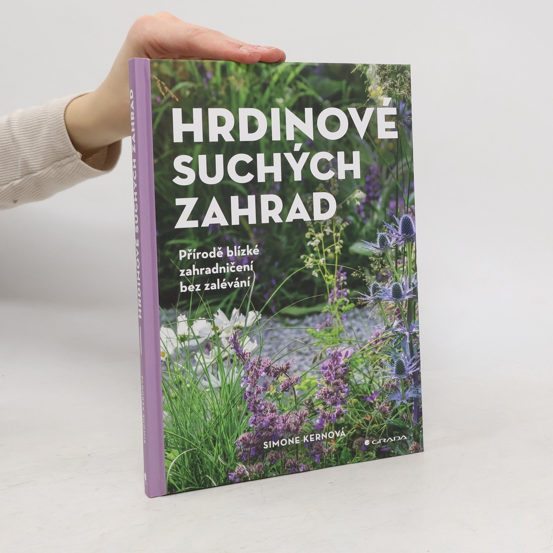 Simone Kern Hrdinové suchých zahrad