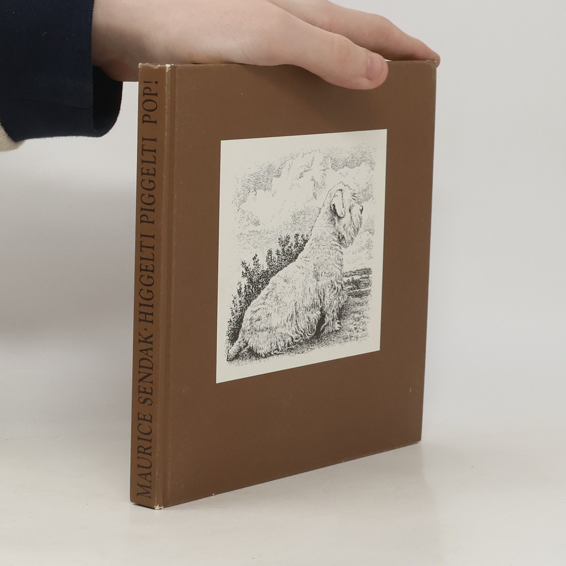 Maurice Sendak Higgelti Piggelti Pop! Oder es muss im Leben mehr als alles geben