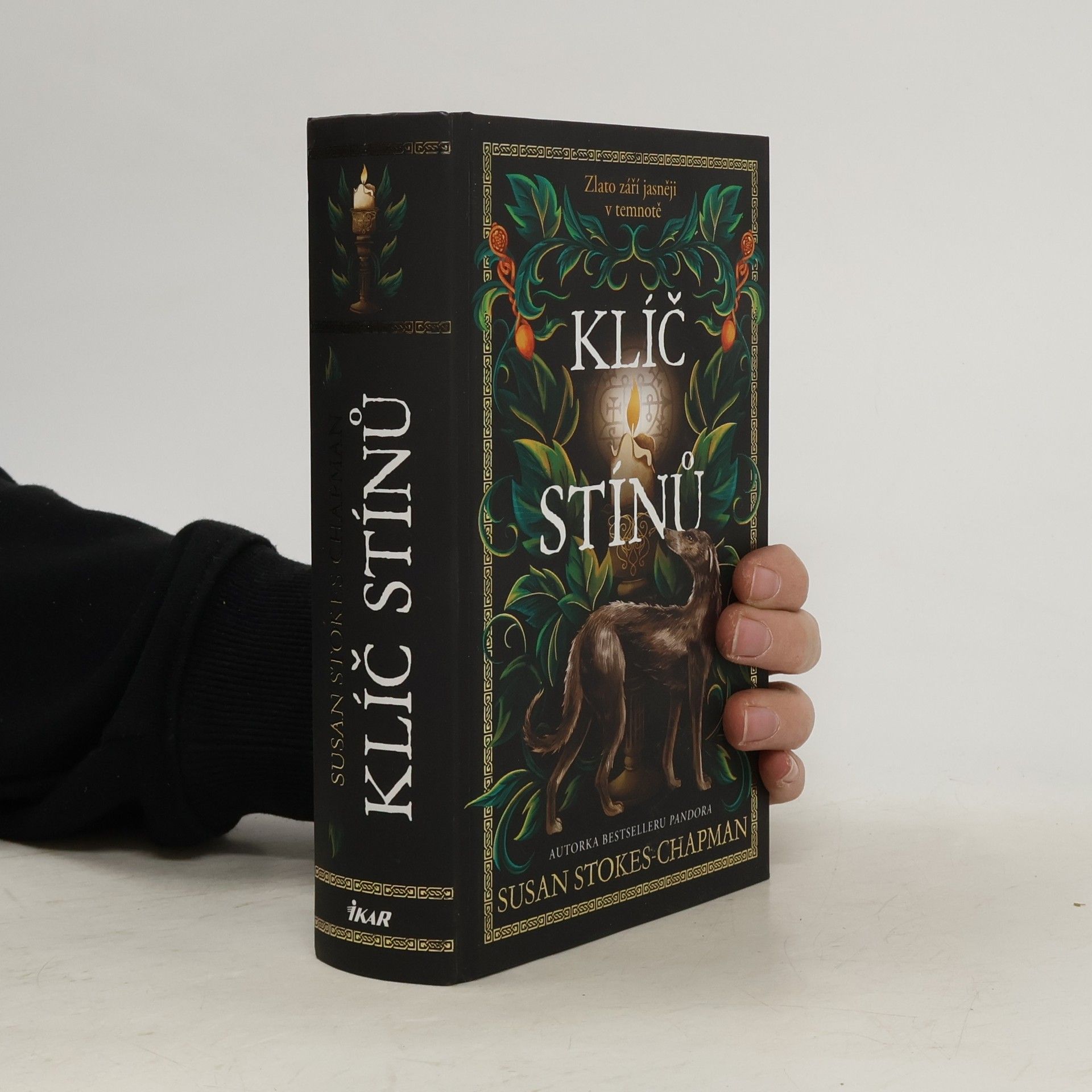 Susan Stokes Chapman Klíč stínů