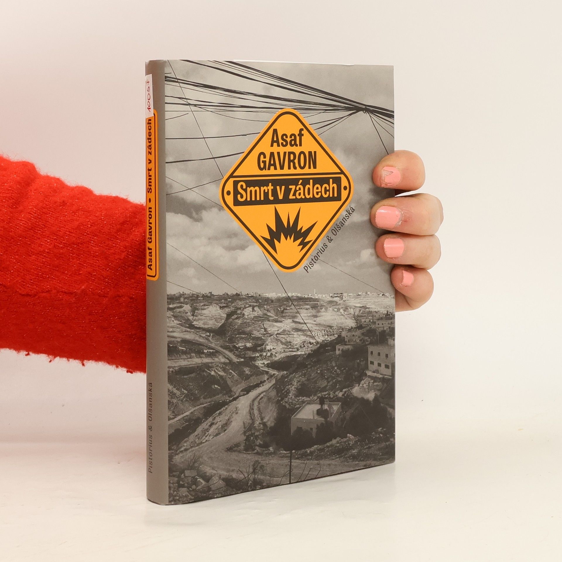 Assaf Gavron Smrt v zádech