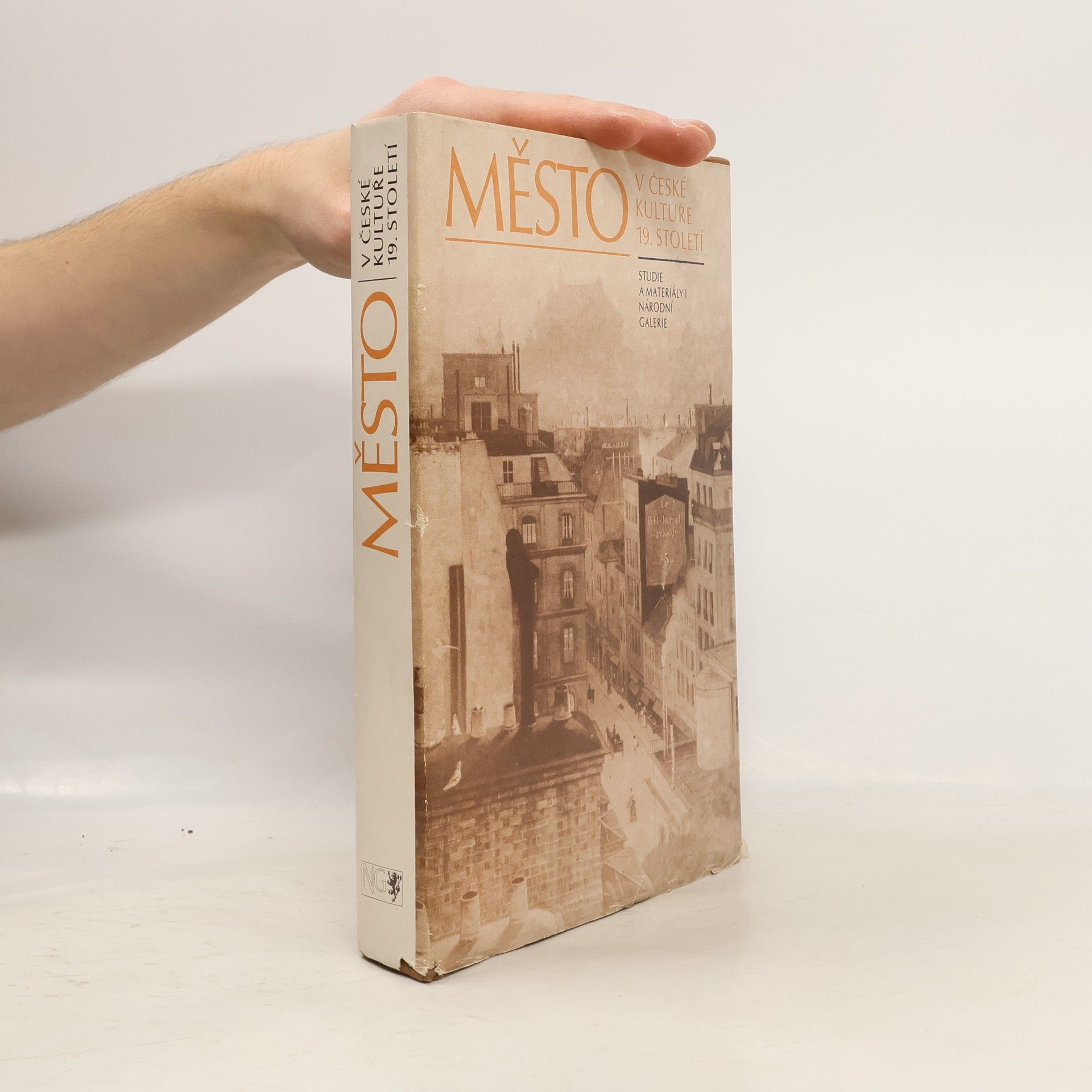 Autorenkollektiv Město v české kultuře 19. století