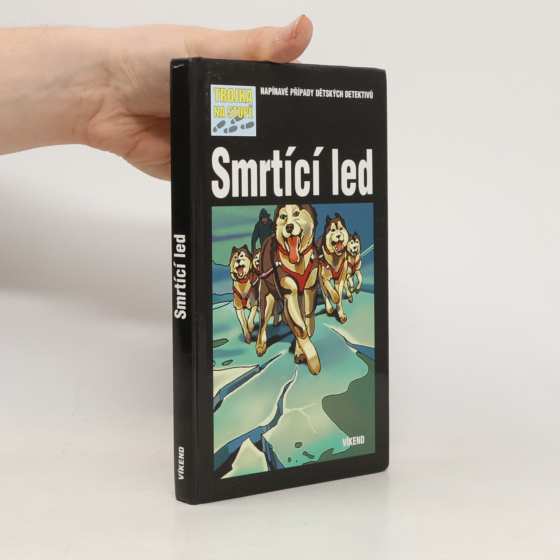 Kari Erlhoff Smrtící led