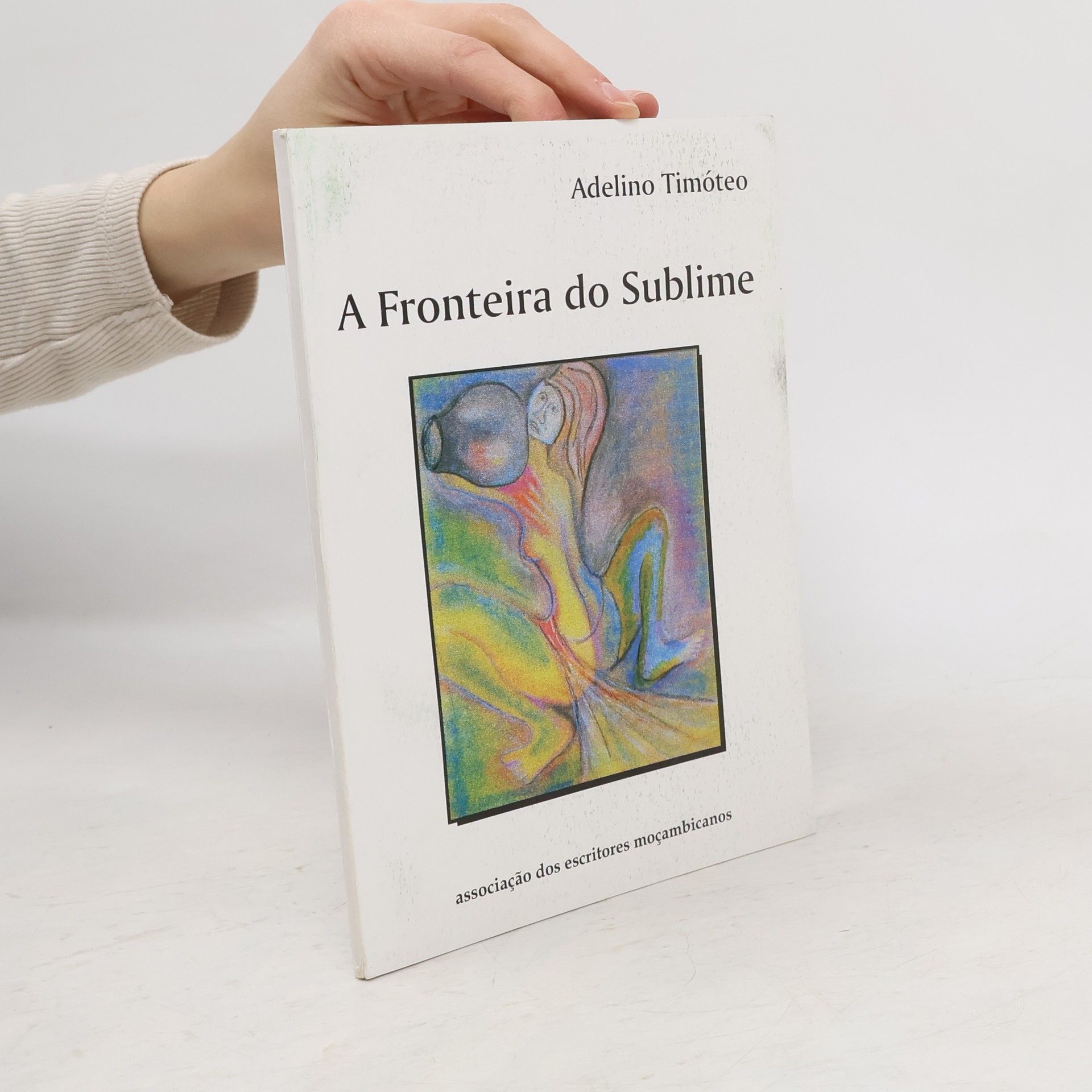 Adelino Timóteo A fronteira do sublime