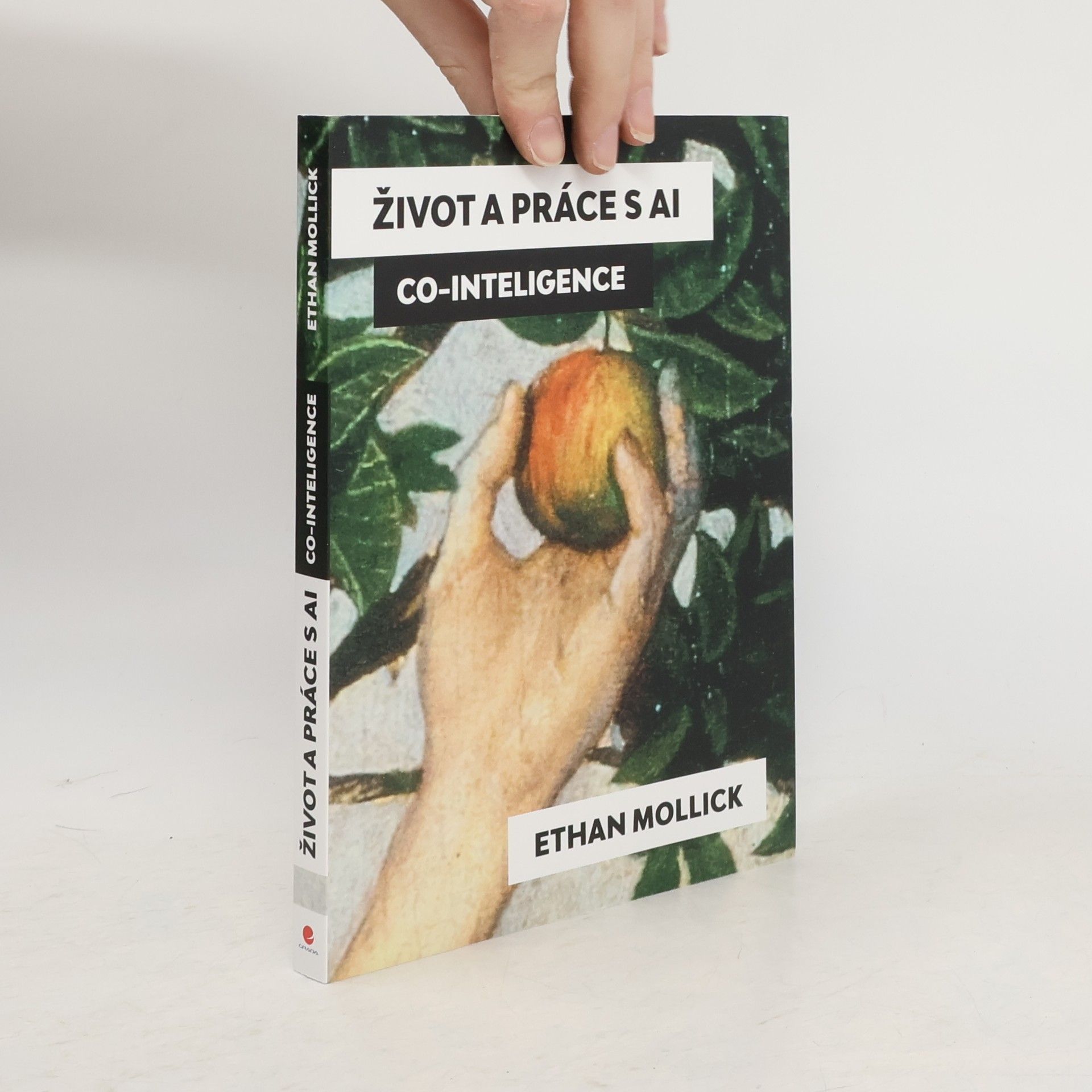 Život a práce s AI: Co-Intelligence