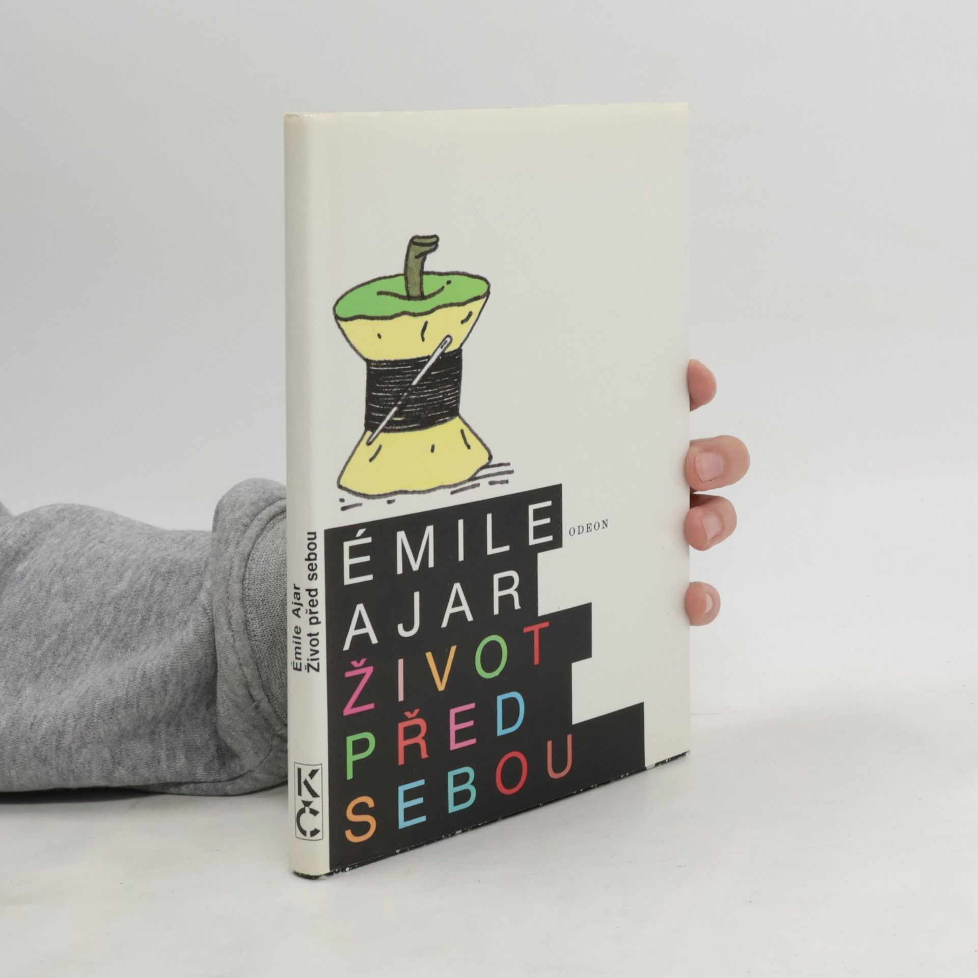 Romain Gary Život před sebou