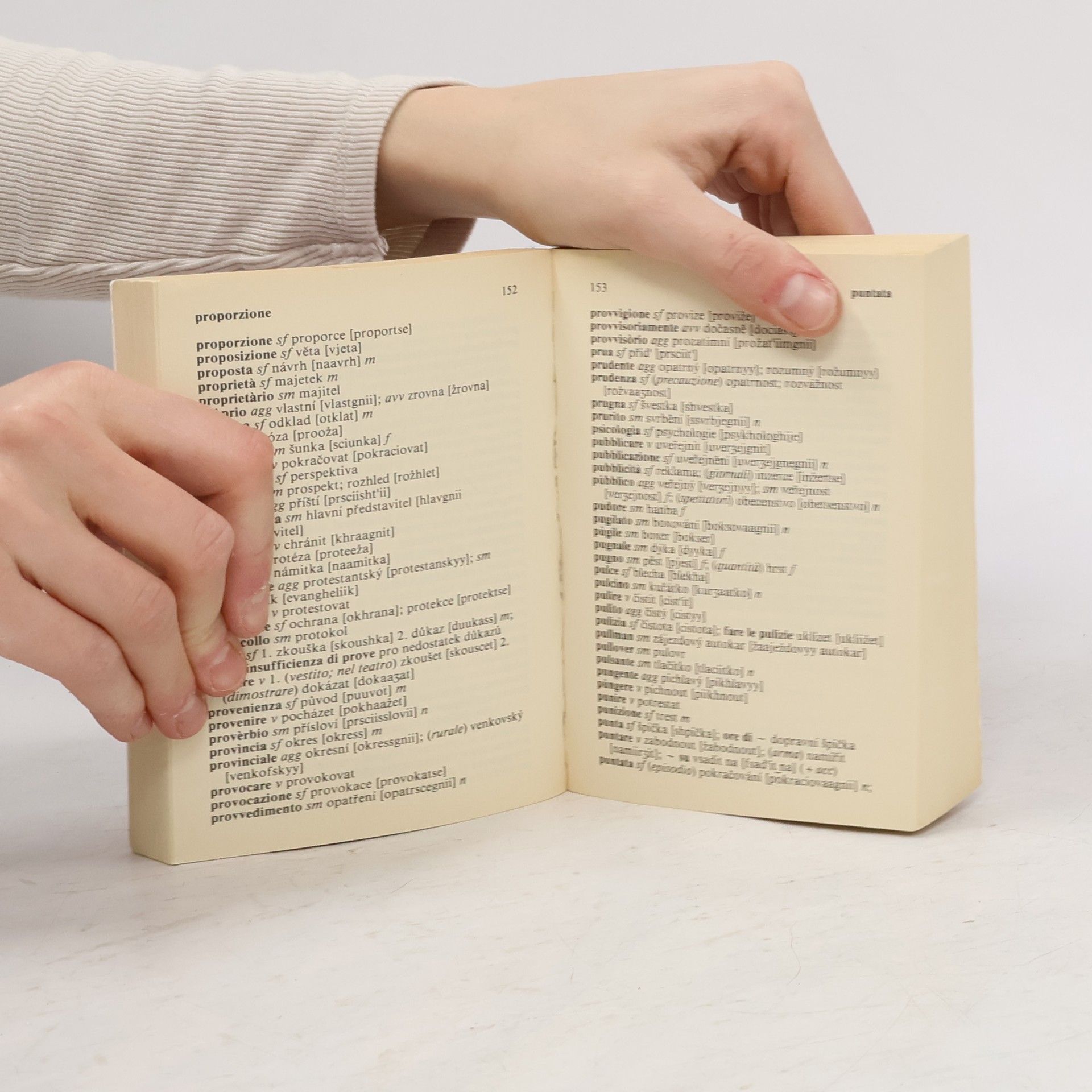 Kolektiv autorů Dizionario italiano-ceco, ceco-italiano