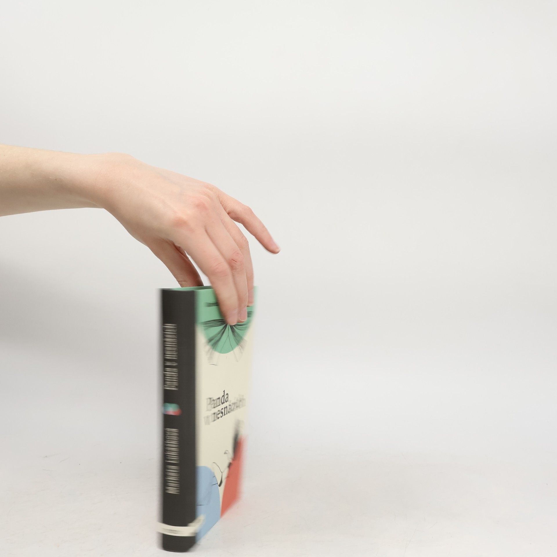 Markéta Lukášková Panda v nesnázích