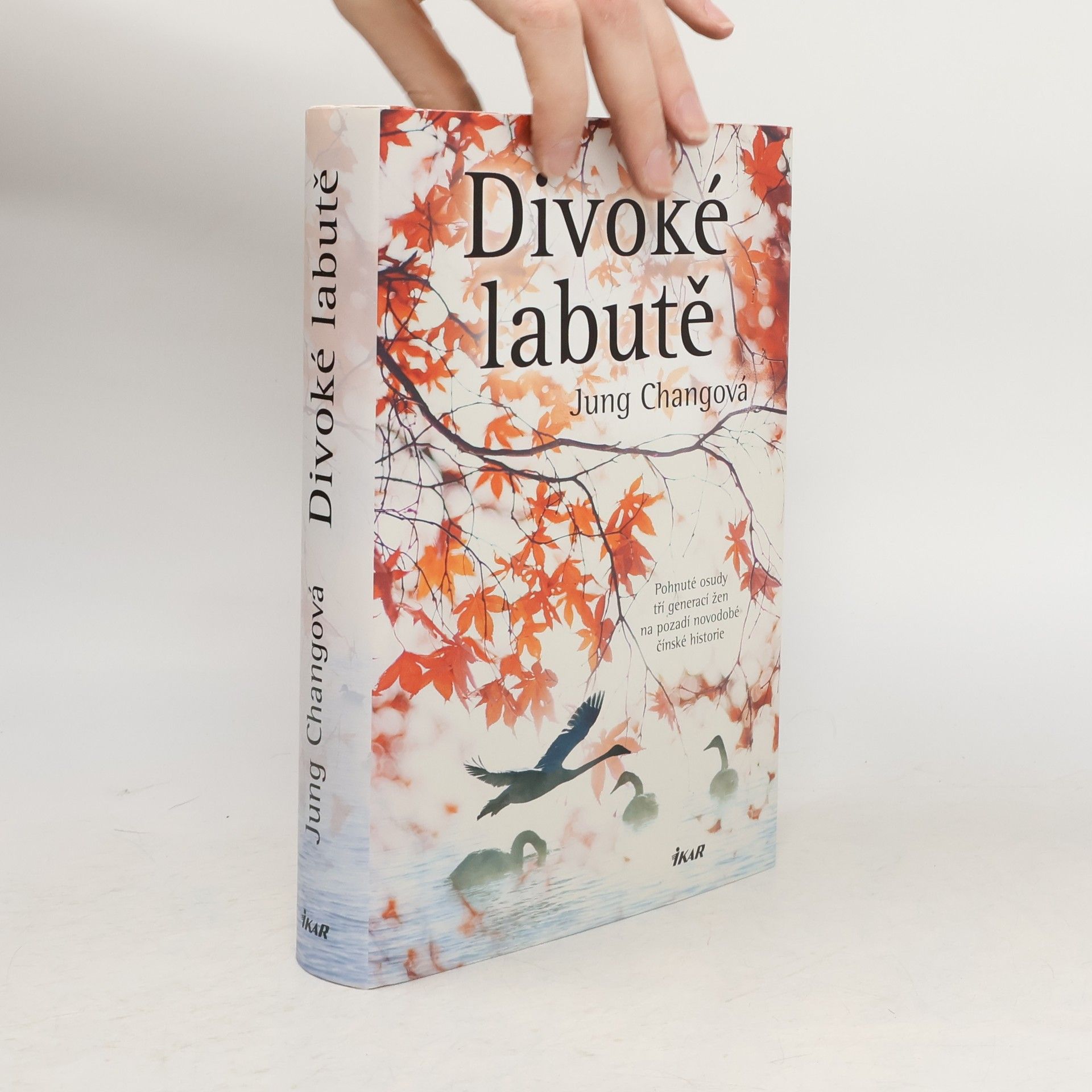 Jung Chang Divoké labutě