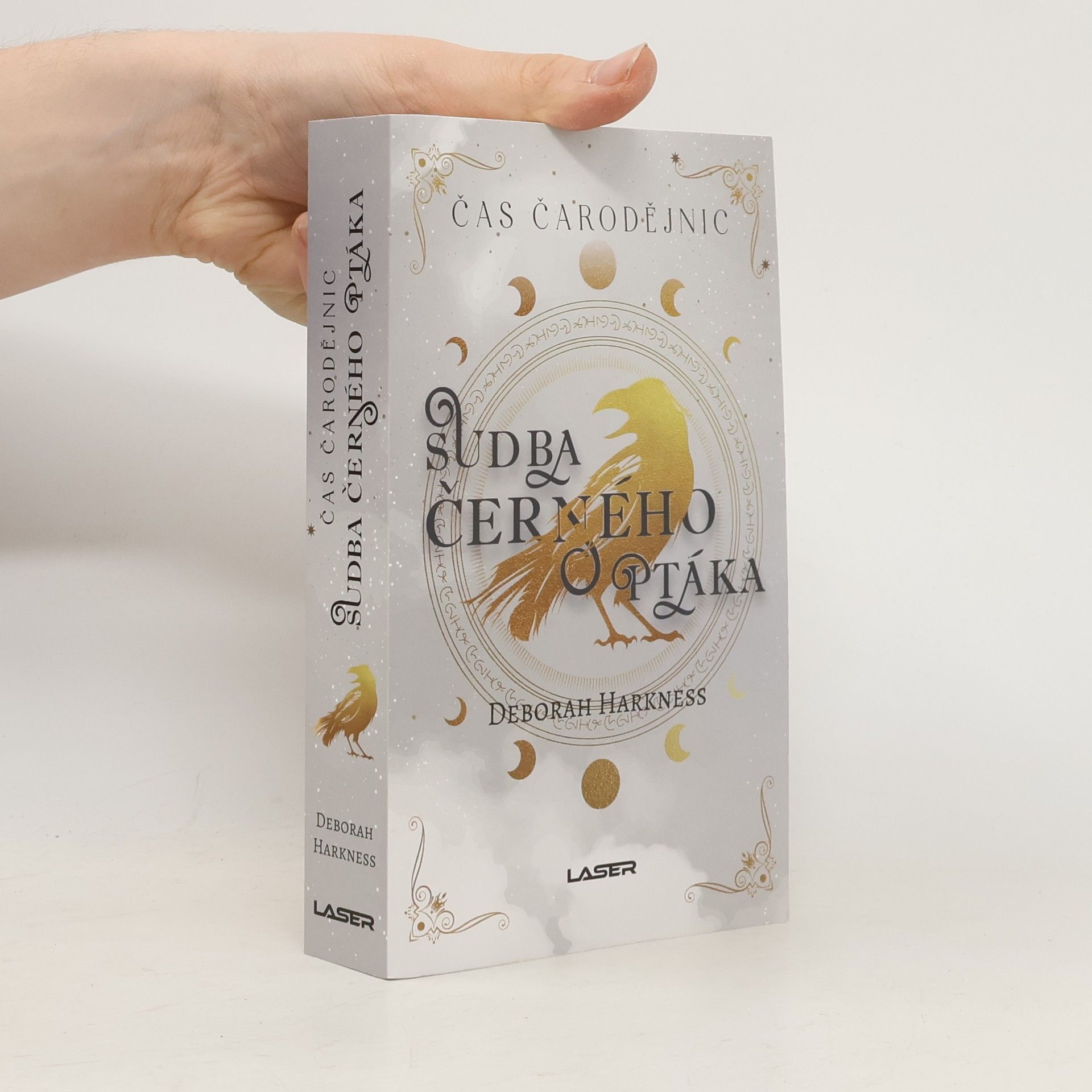 Sudba černého ptáka