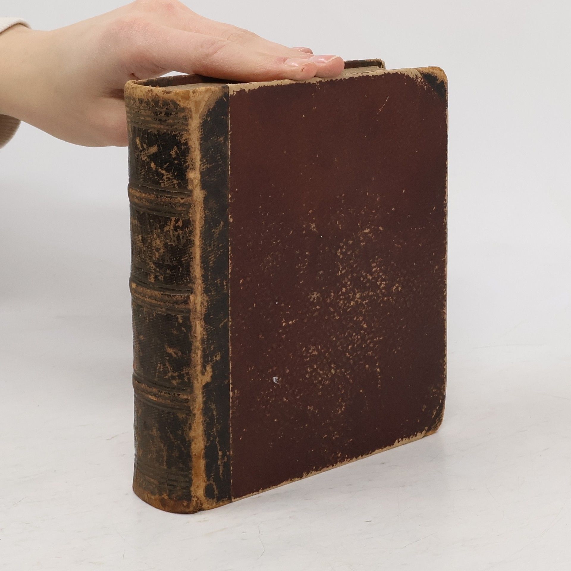 Josef Rank Rusko-český slovník