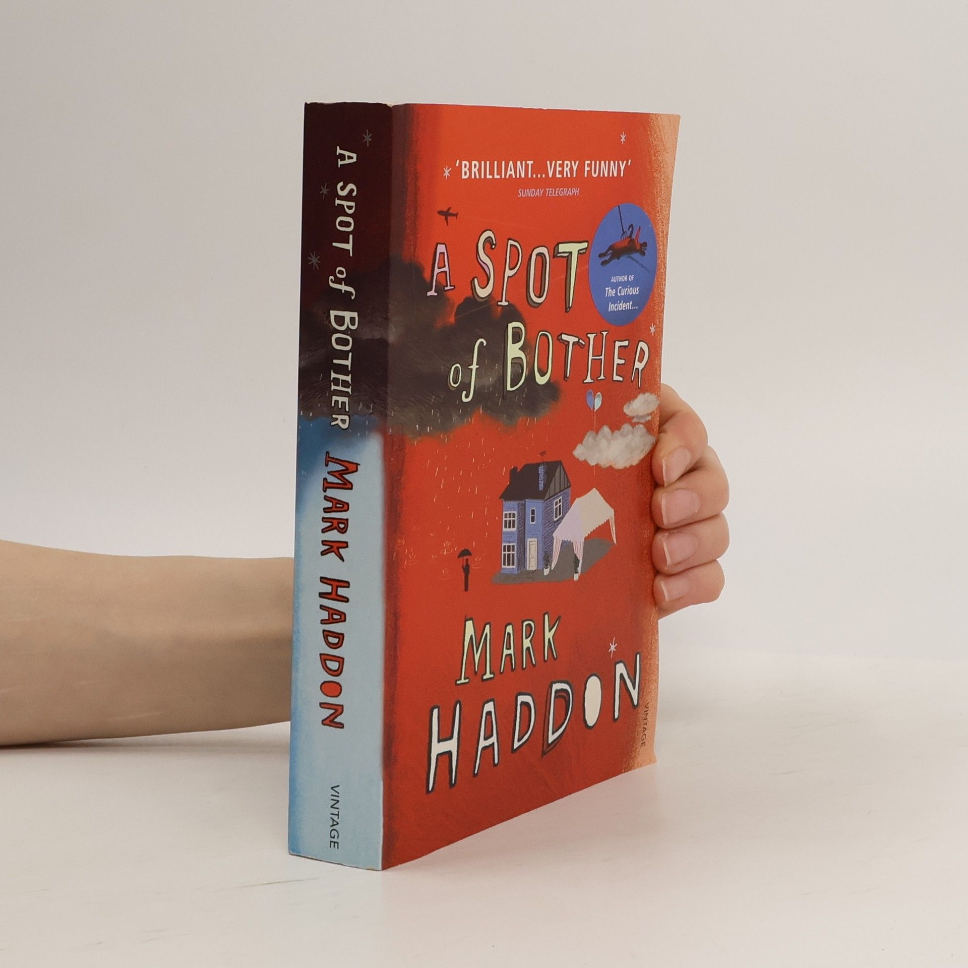Mark Haddon A spot of bother