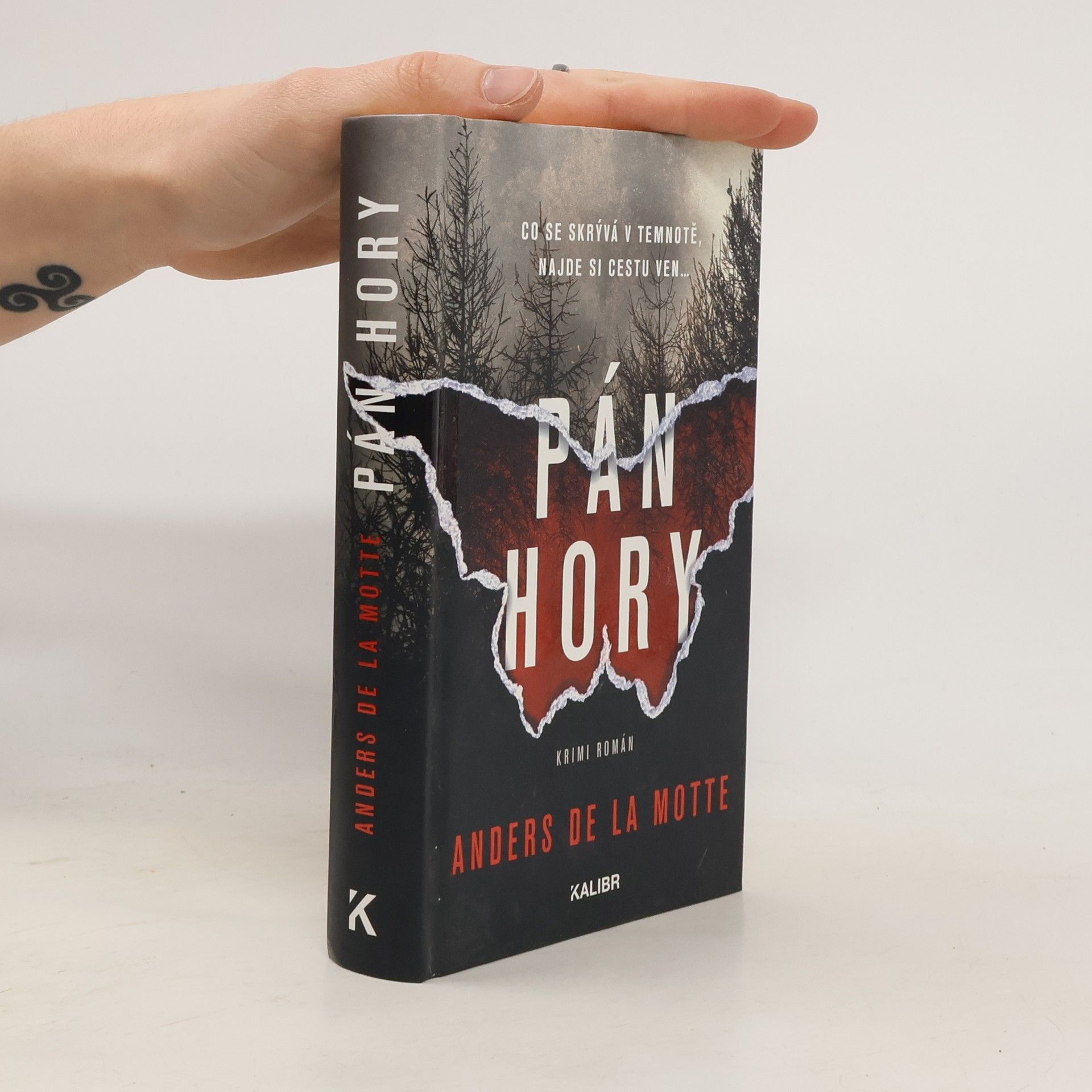 Anders de la Motte Pán hory