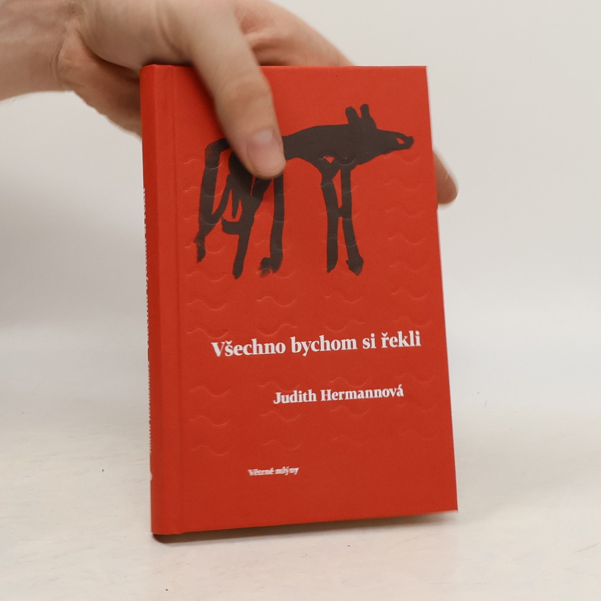 Judith Hermann Všechno bychom si řekli