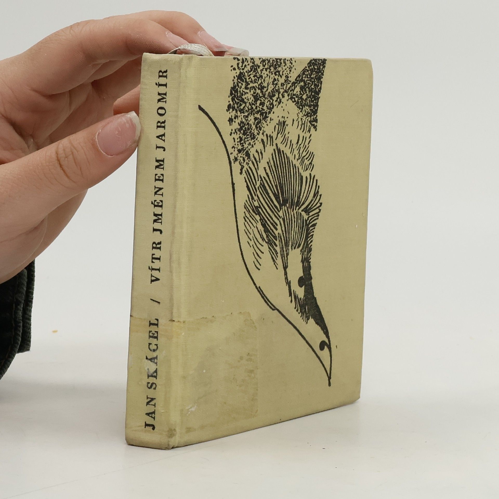 Jan Skácel Vítr jménem Jaromír