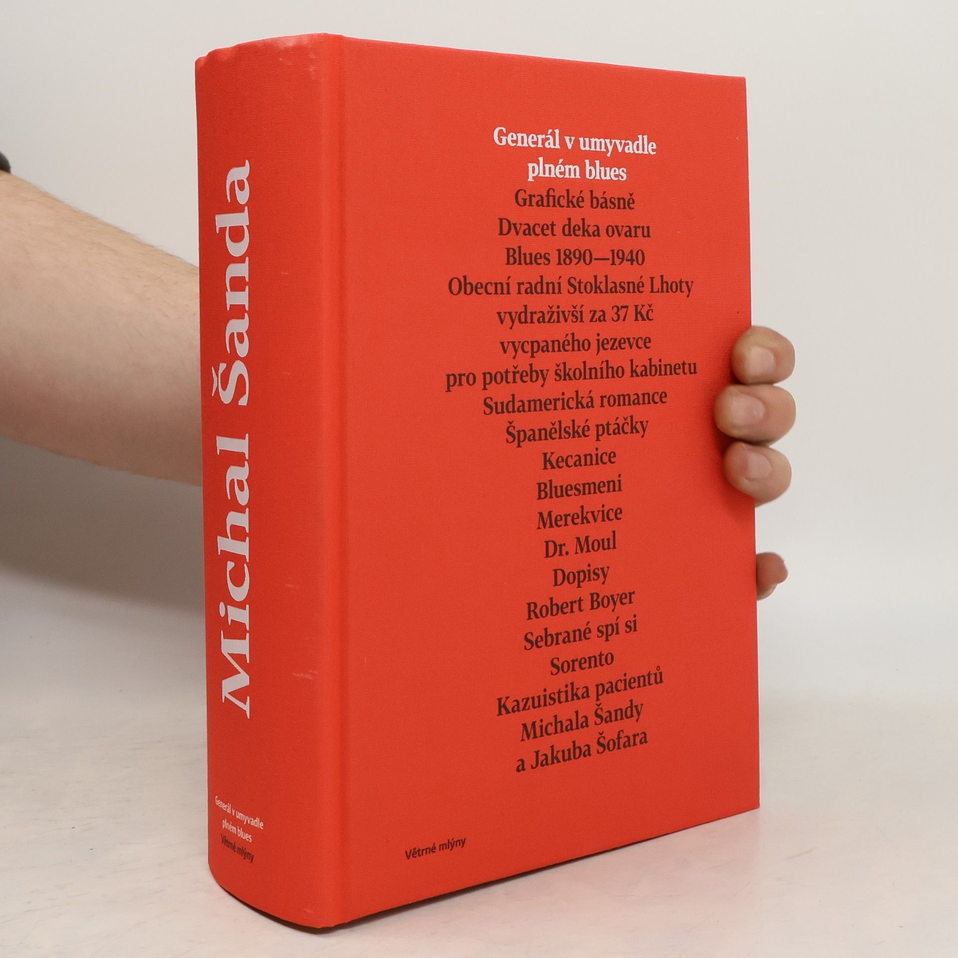 Michal Šanda Generál v umyvadle plném blues