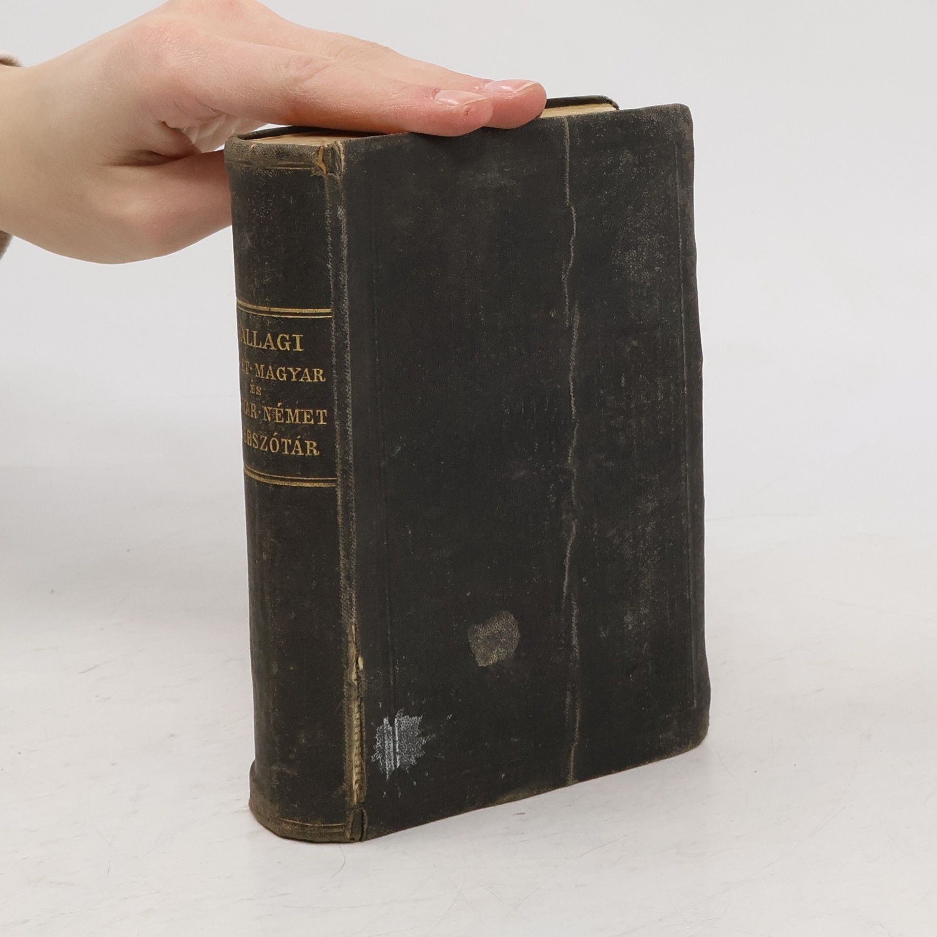 Moritz Ballagi Schul-und Reise-Taschen-Wörterbuch