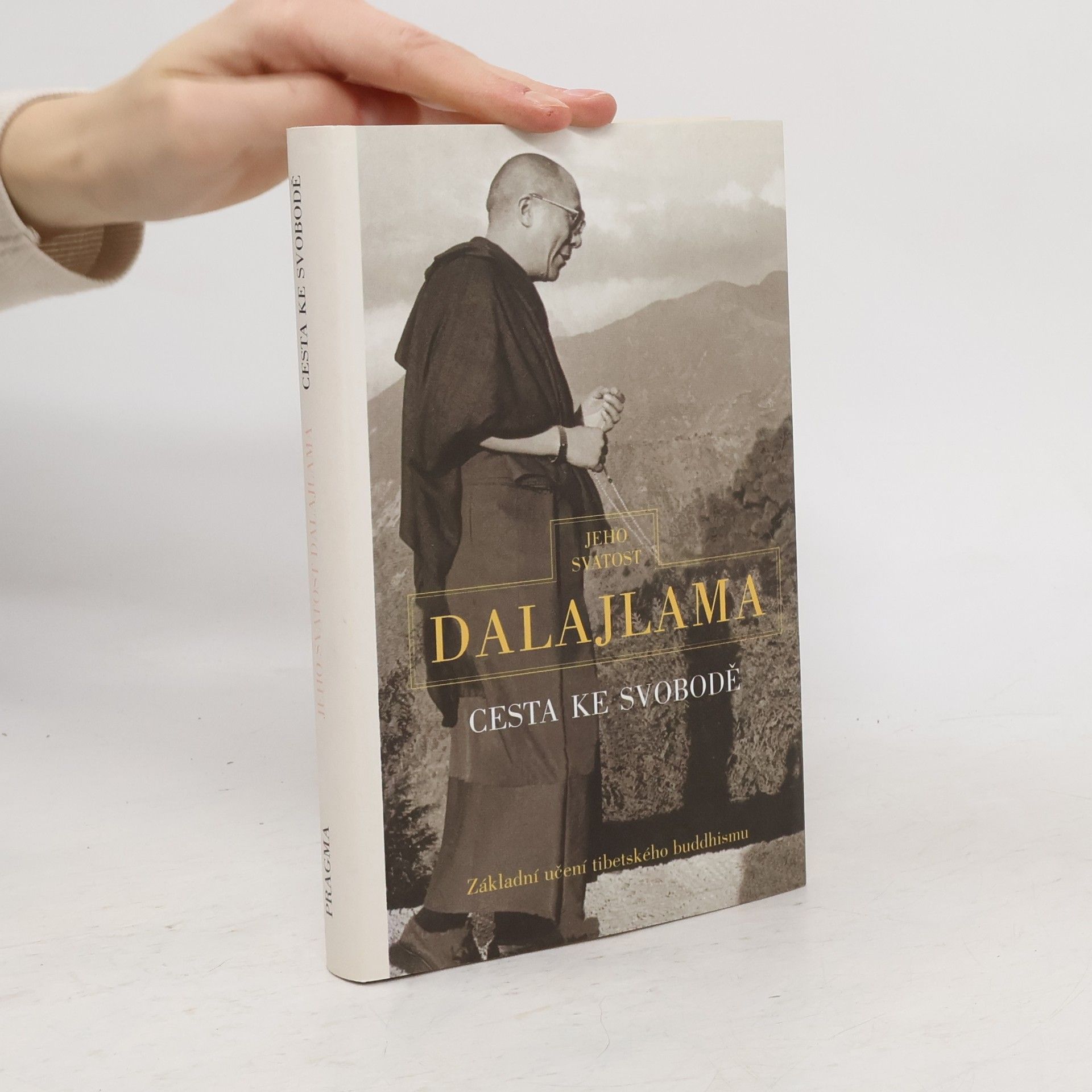 Irena Janovcová Cesta ke svobodě