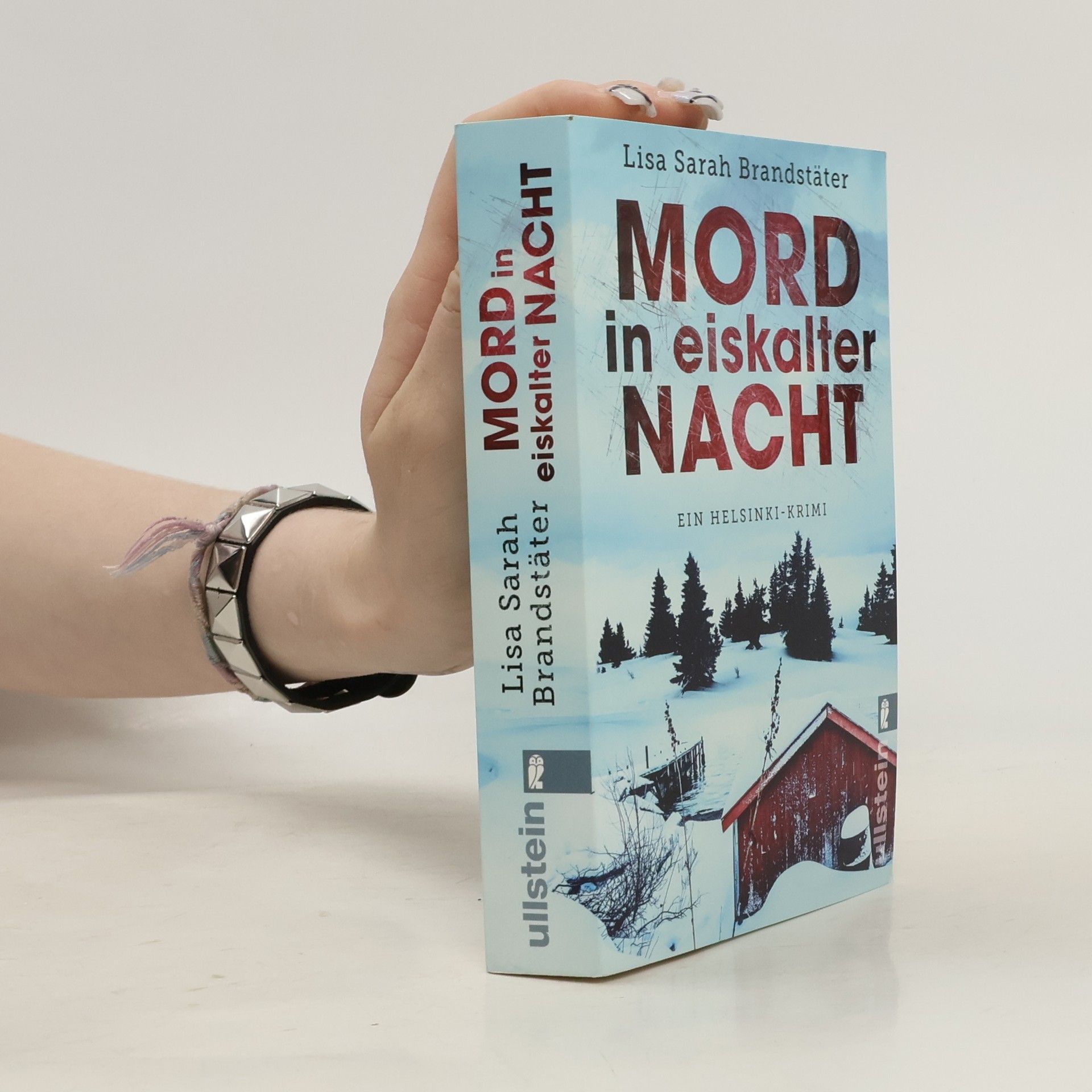 Lisa Sarah Brandstäter Mord in eiskalter Nacht