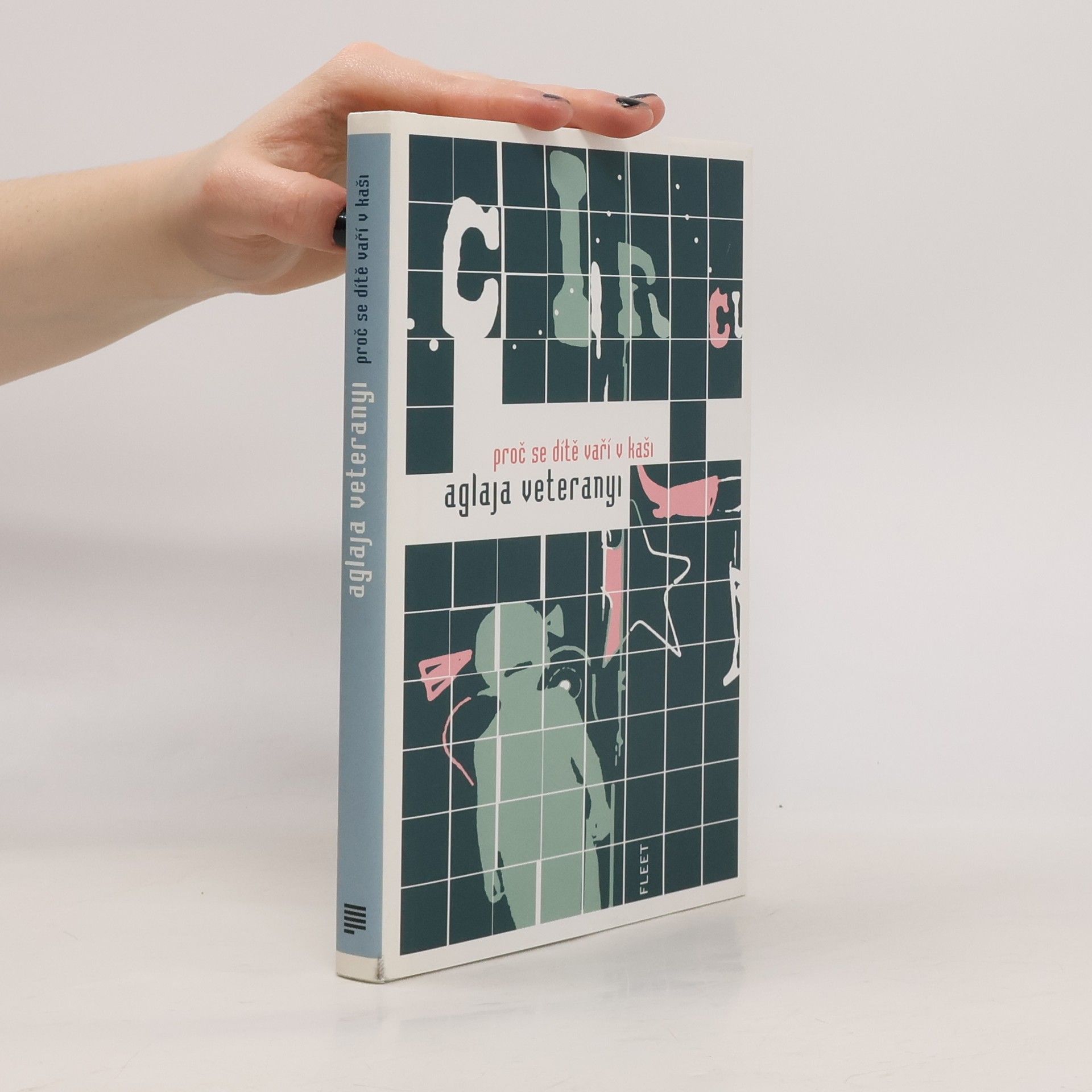 Aglaja Veteranyi Proč se dítě vaří v kaši