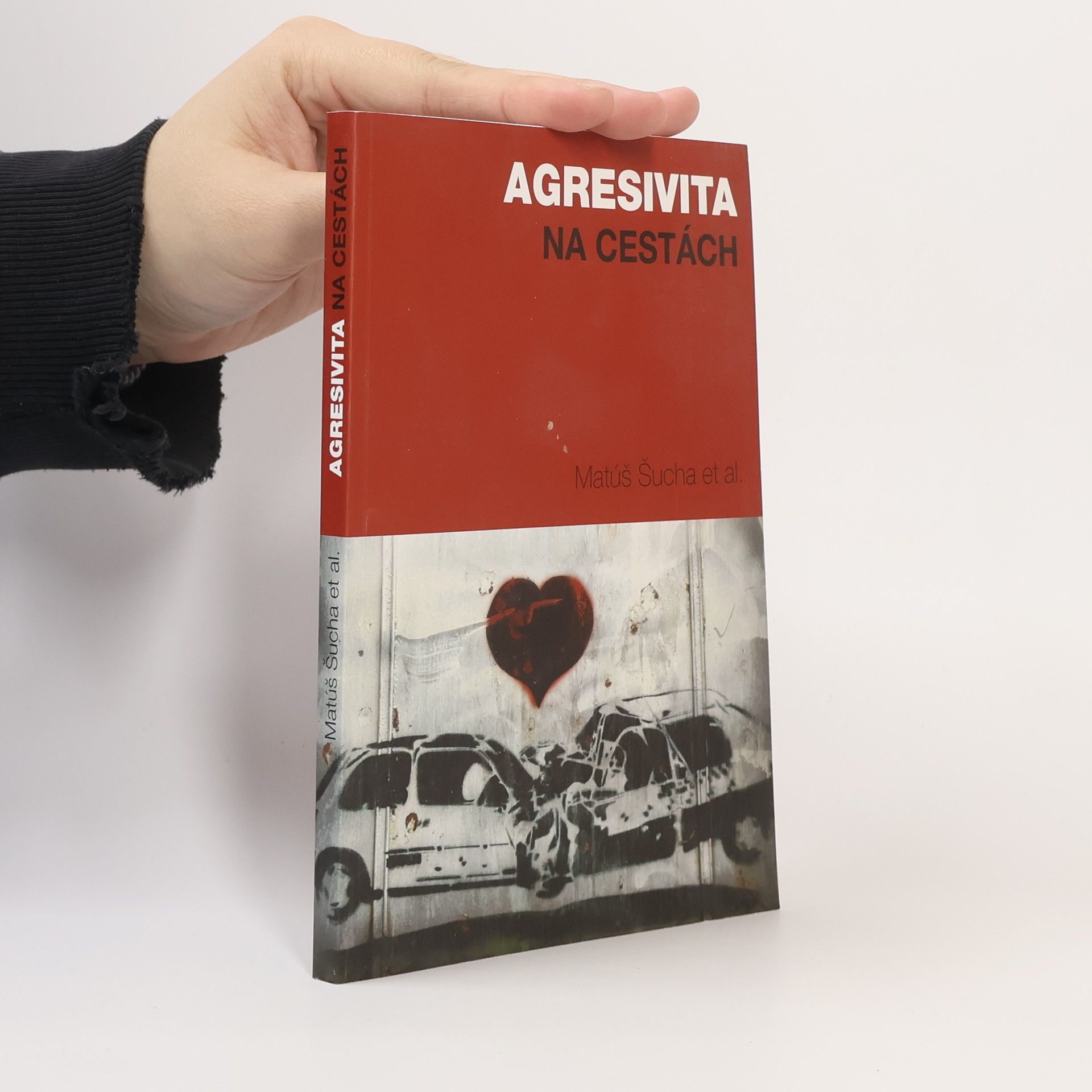 Agresivita na cestách