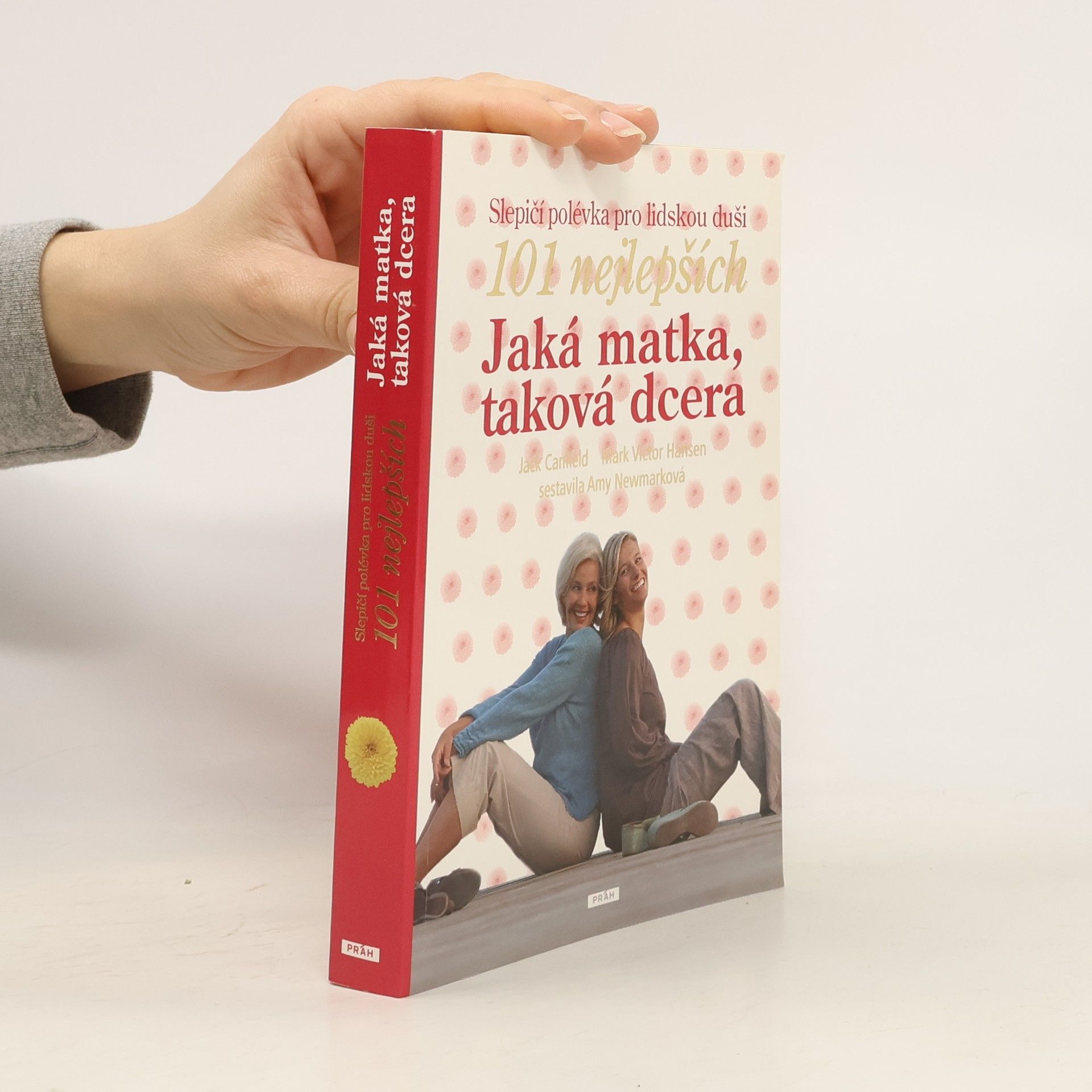 Amy Newmark Slepičí polévka pro lidskou duši. Jaká matka, taková dcera : 101 nejlepších