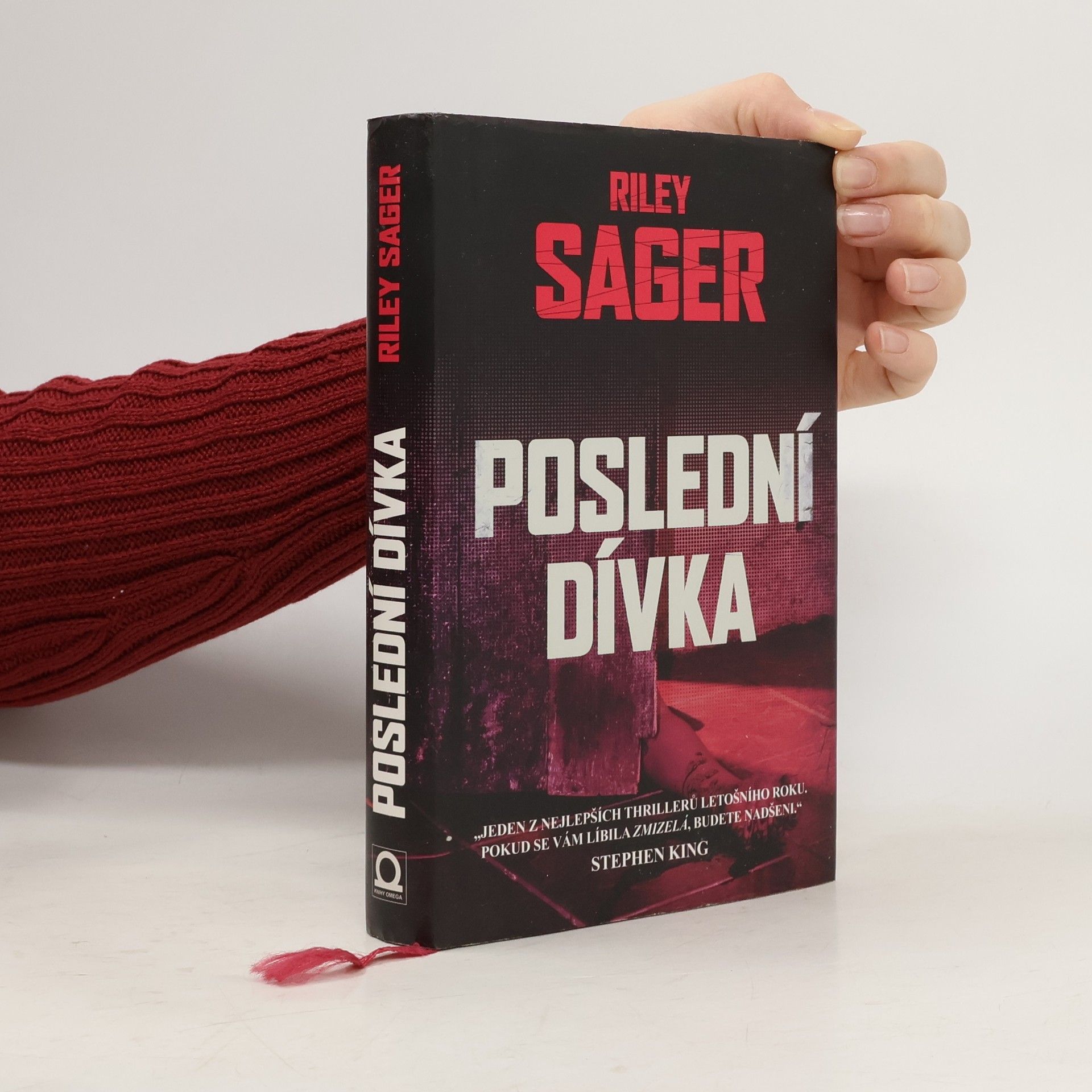 Todd Ritter Poslední dívka