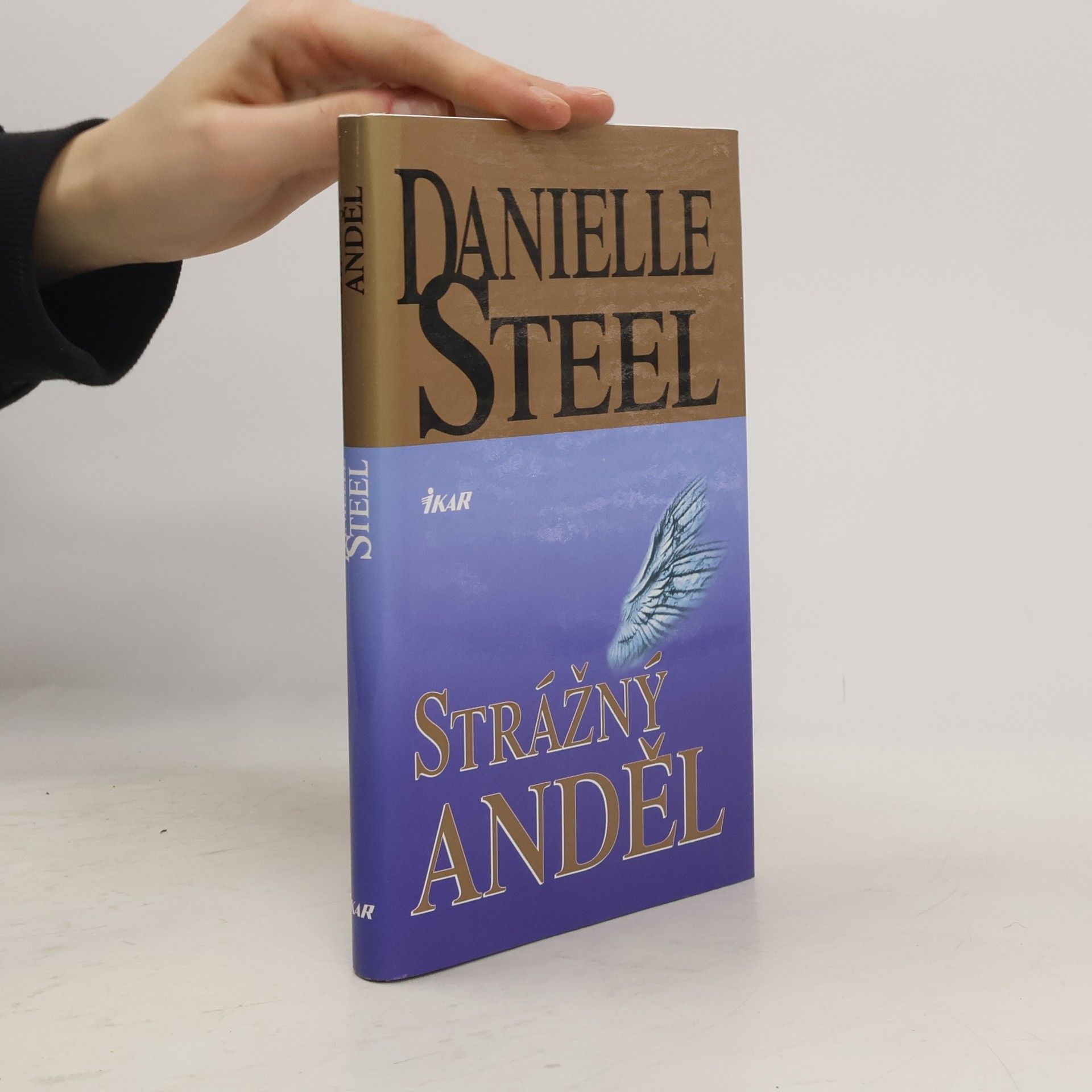 Danielle Steel Strážný anděl