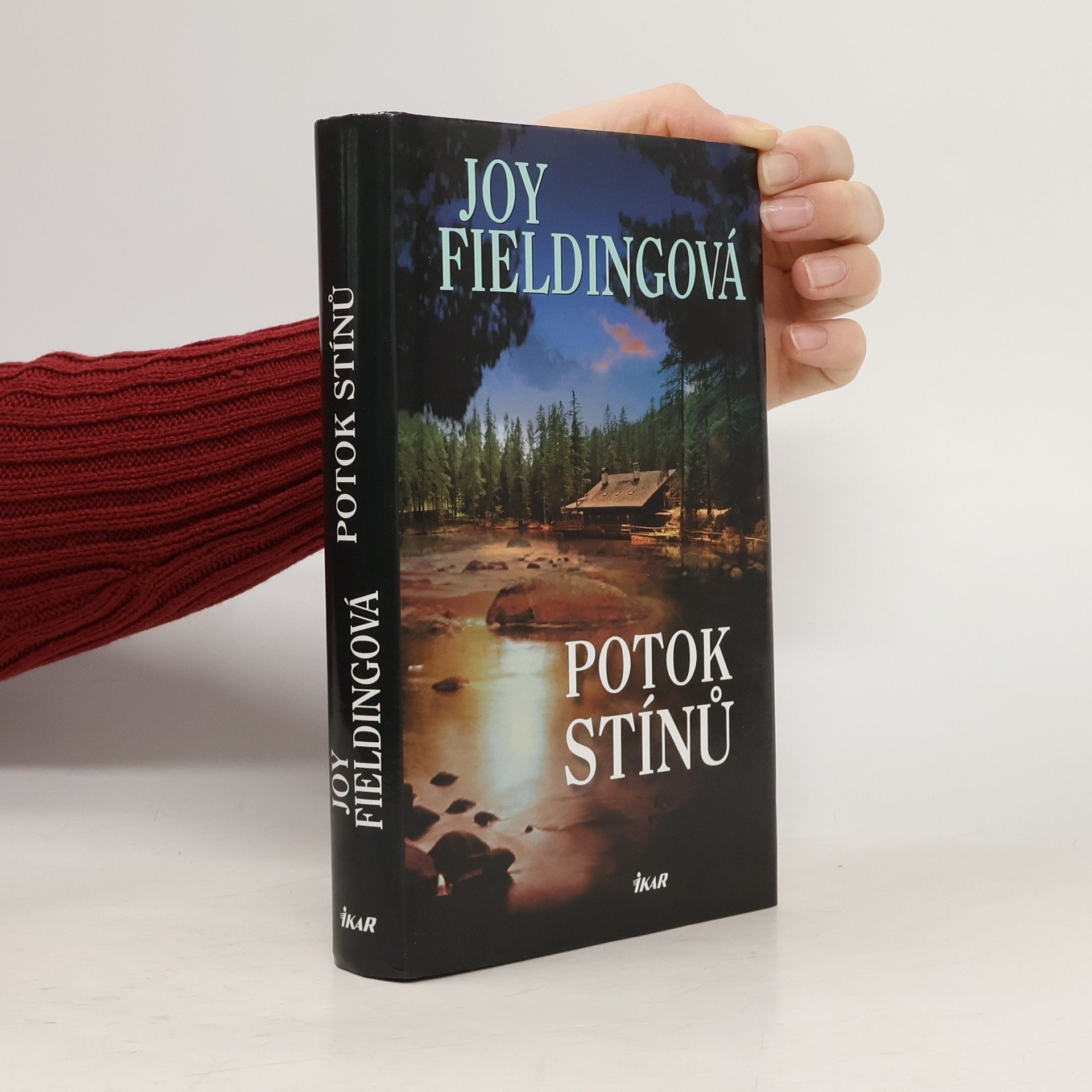 Joy Fielding Potok stínů