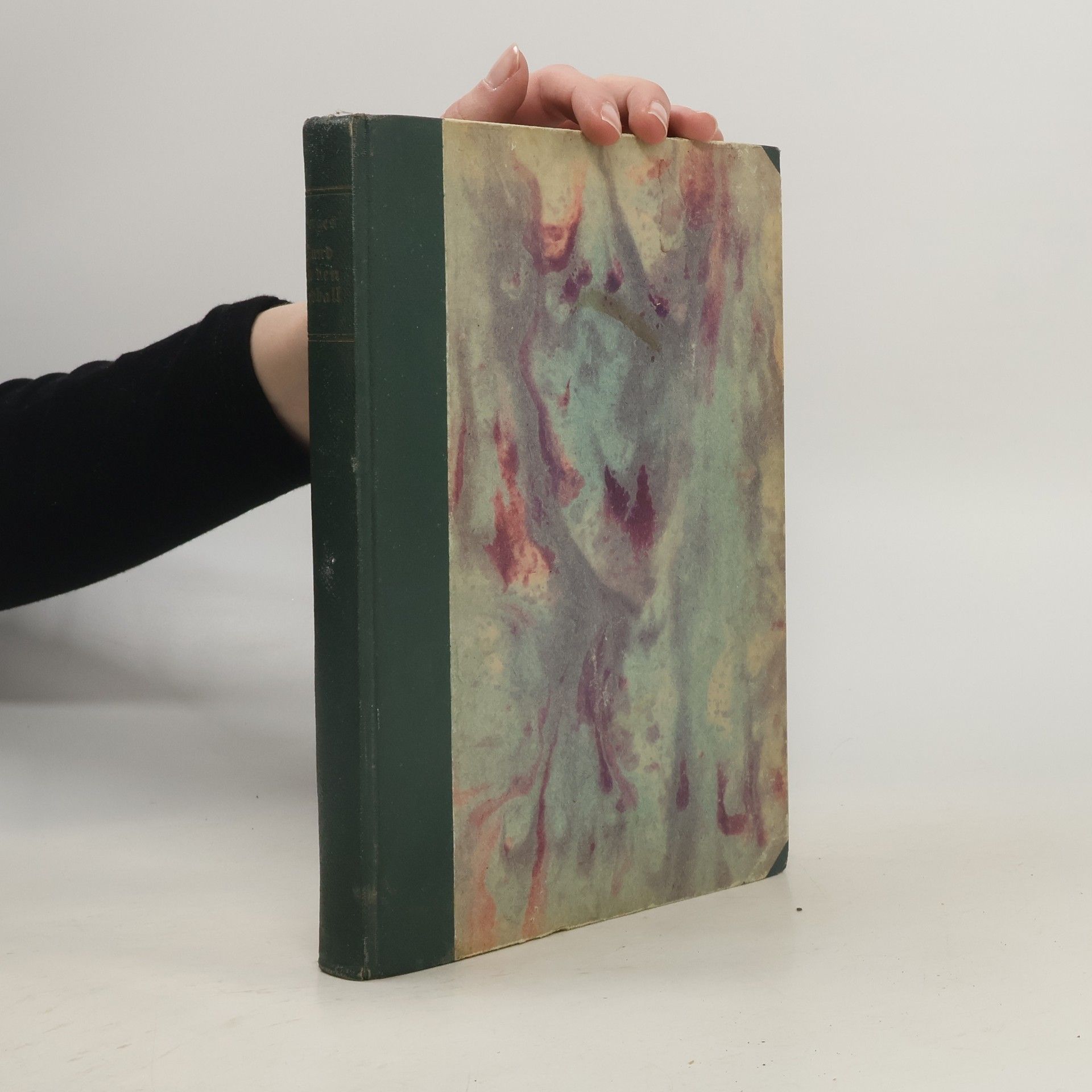 Rund um den Erdball I.