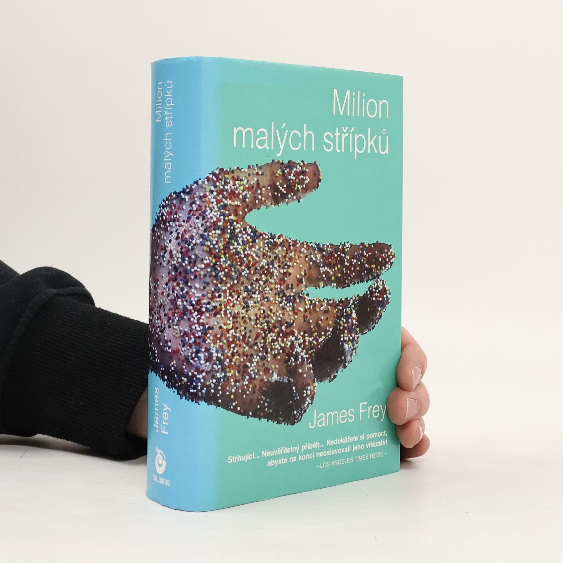 James Frey Milion malých střípků