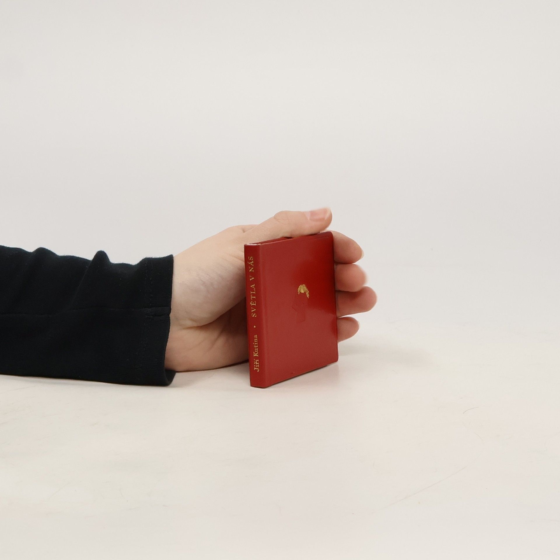 Jiří Kutina Světla v nás