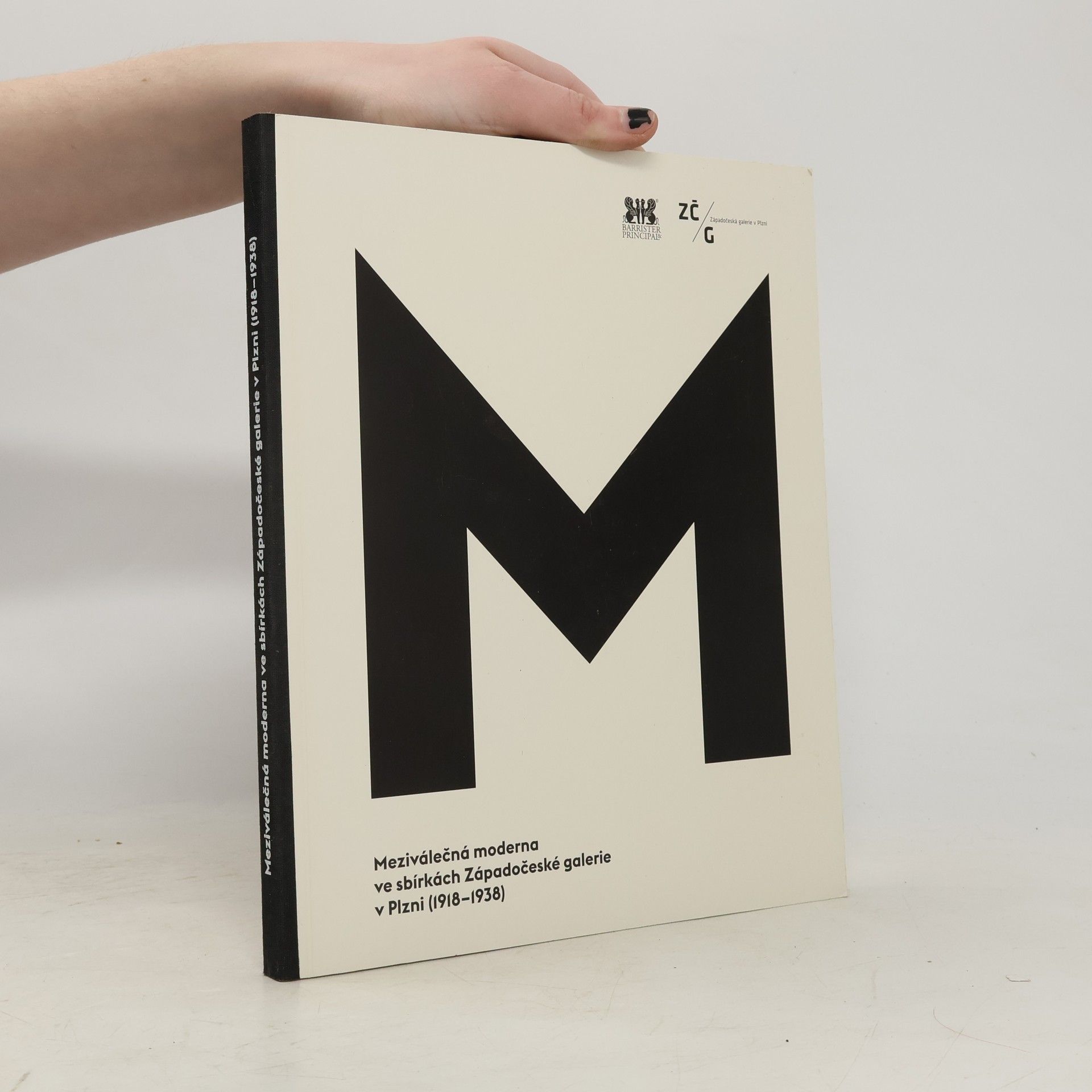 Meziválečná moderna ve sbírkách Západočeské galerie v Plzni (1918–1938)