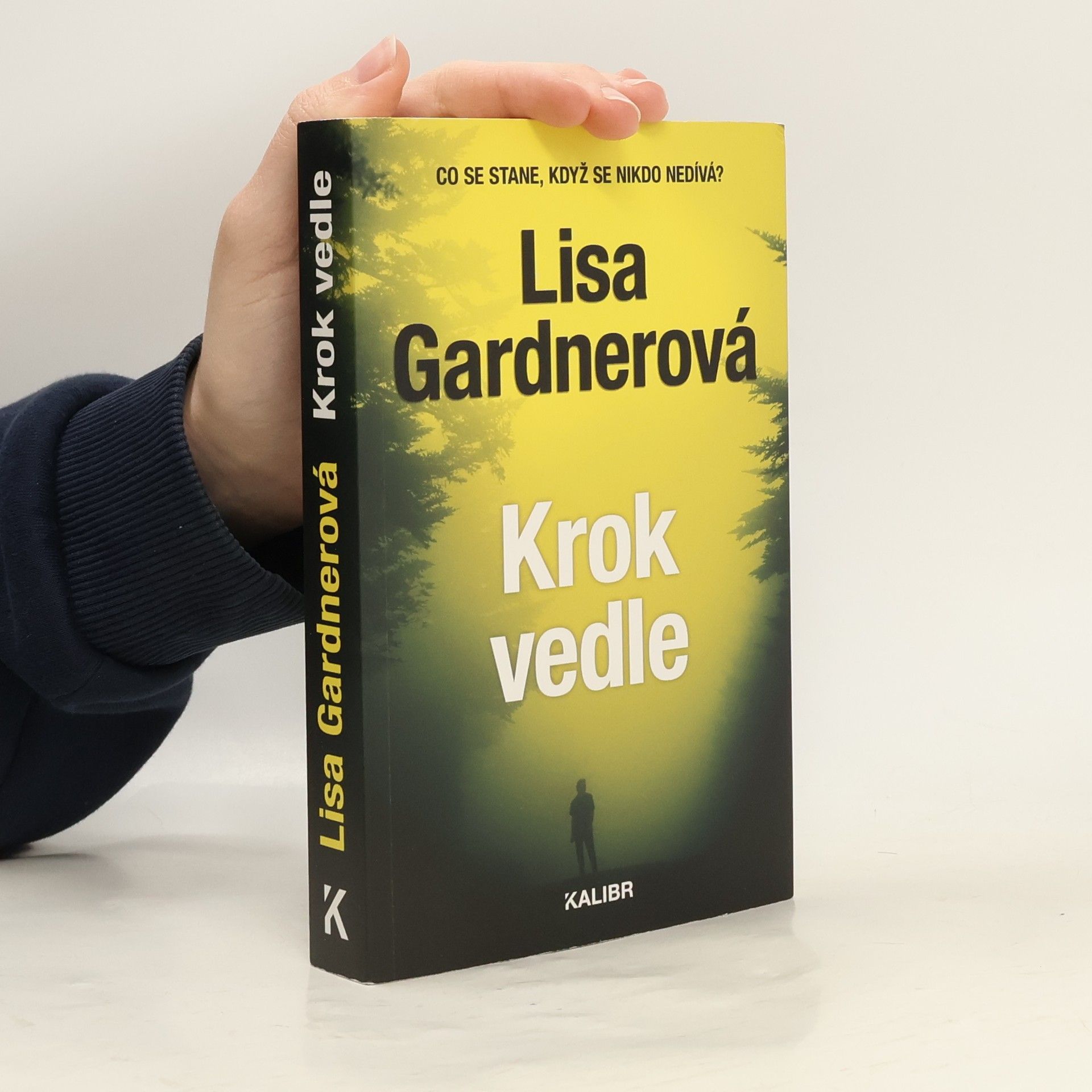 Lisa Gardner Krok vedle