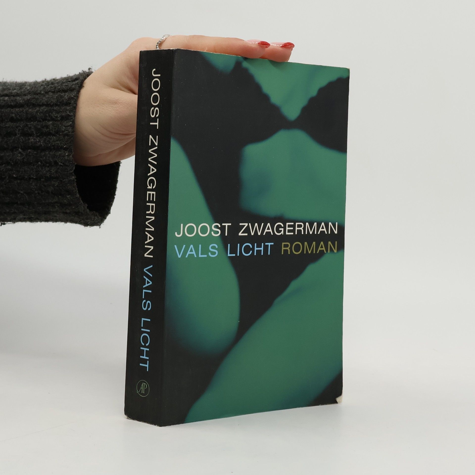 Johannes Jacobus Willebrordus Zwagerman Vals licht