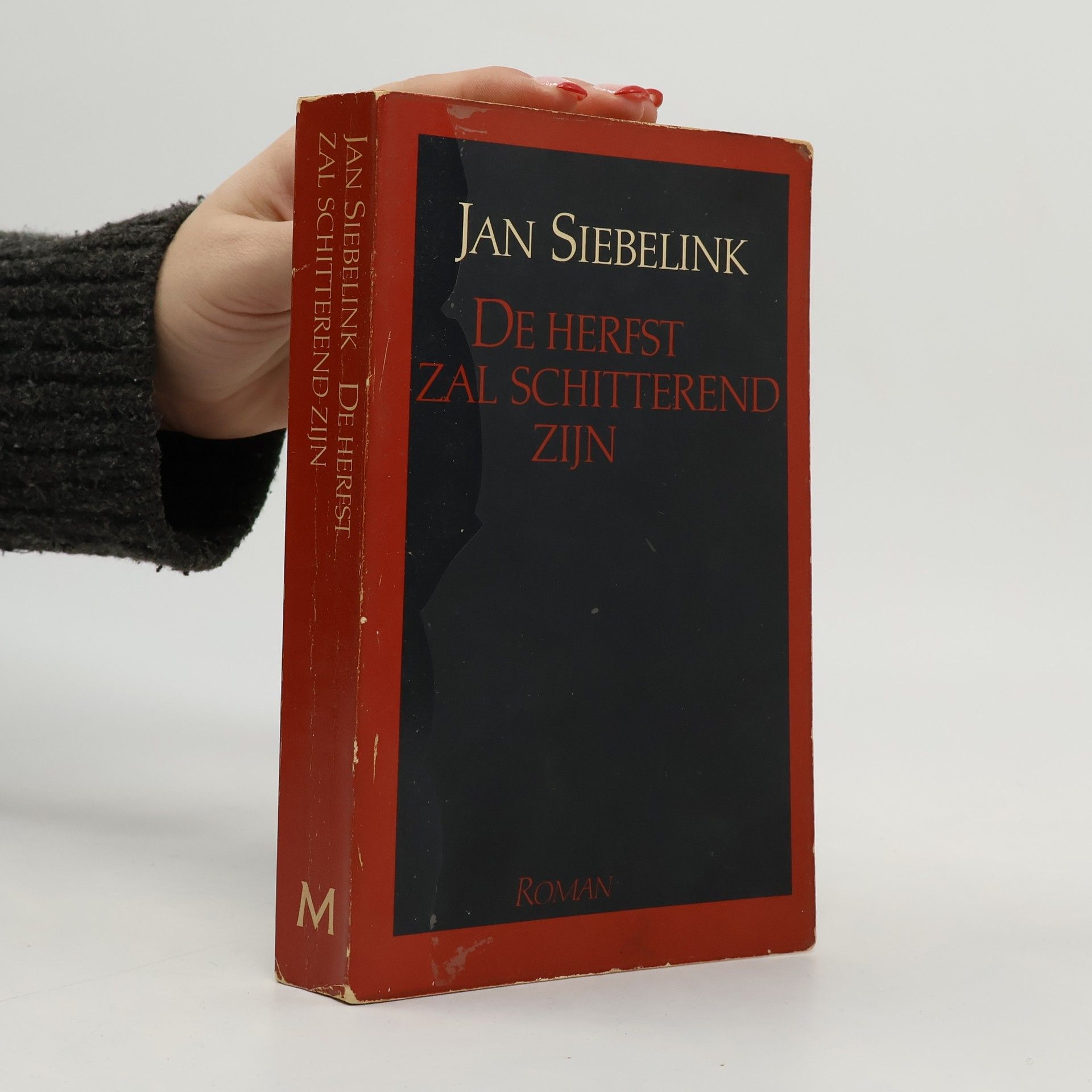 Jan Siebelink De herfst zal schitterend zijn